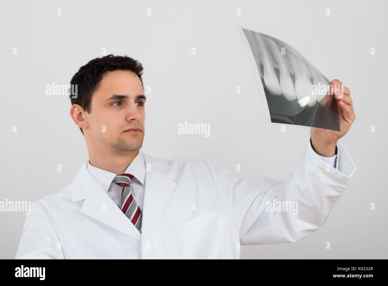 Young male dentist examining dental xray against white background Stock Photo