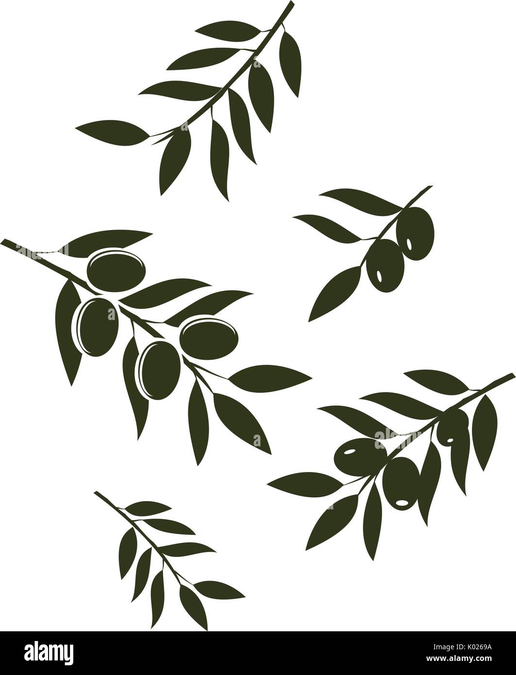 vector illustration of olive branches isolated on white background Stock Vector