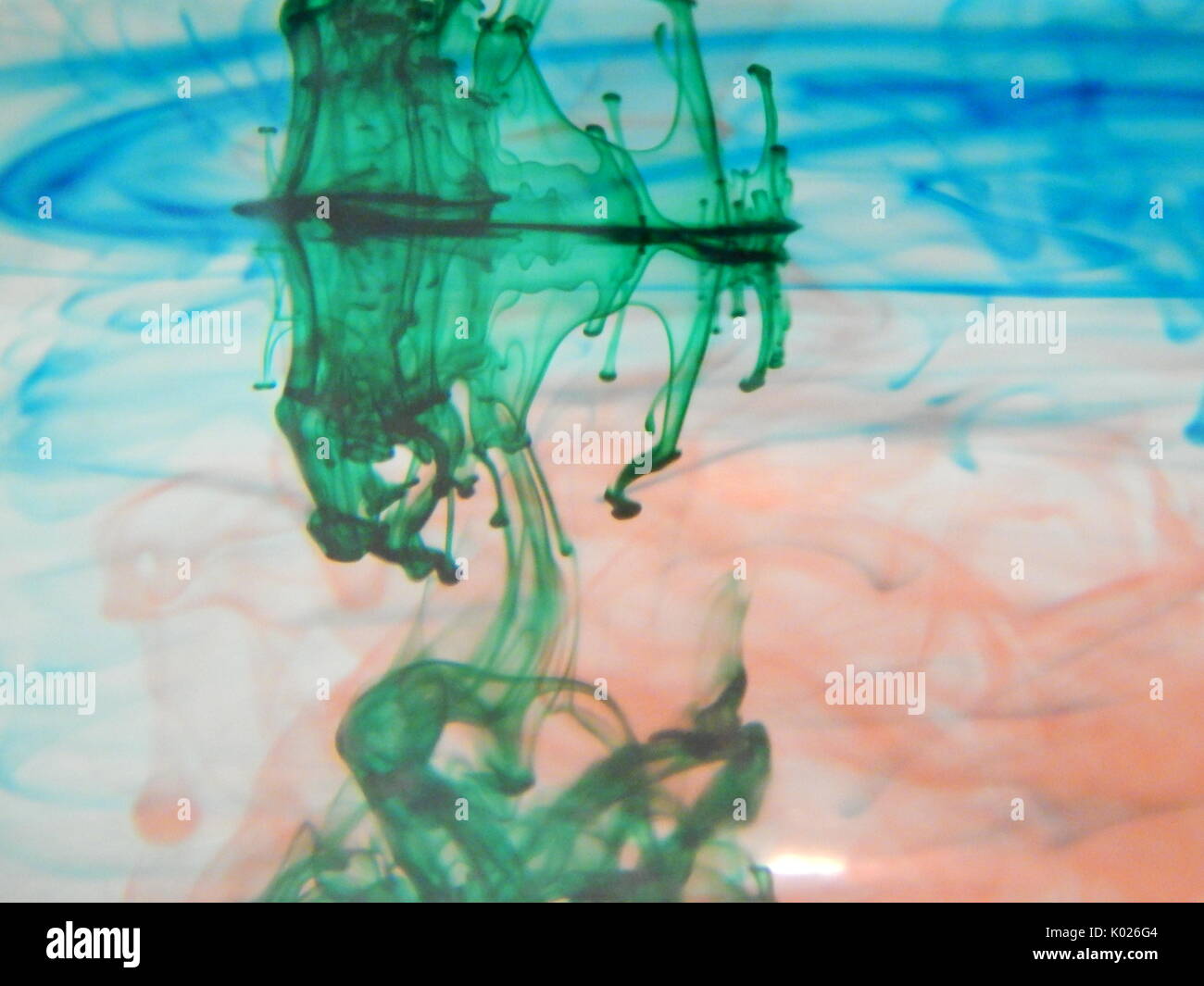 Food Coloring water experiment Stock Photo - Alamy