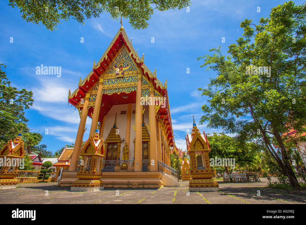 Wat Phra Thong is a famous temple in Phuket. Formerly when the war happened  The people in Phuket brought the soil to cover the Buddha's gold to flood  Stock Photo - Alamy