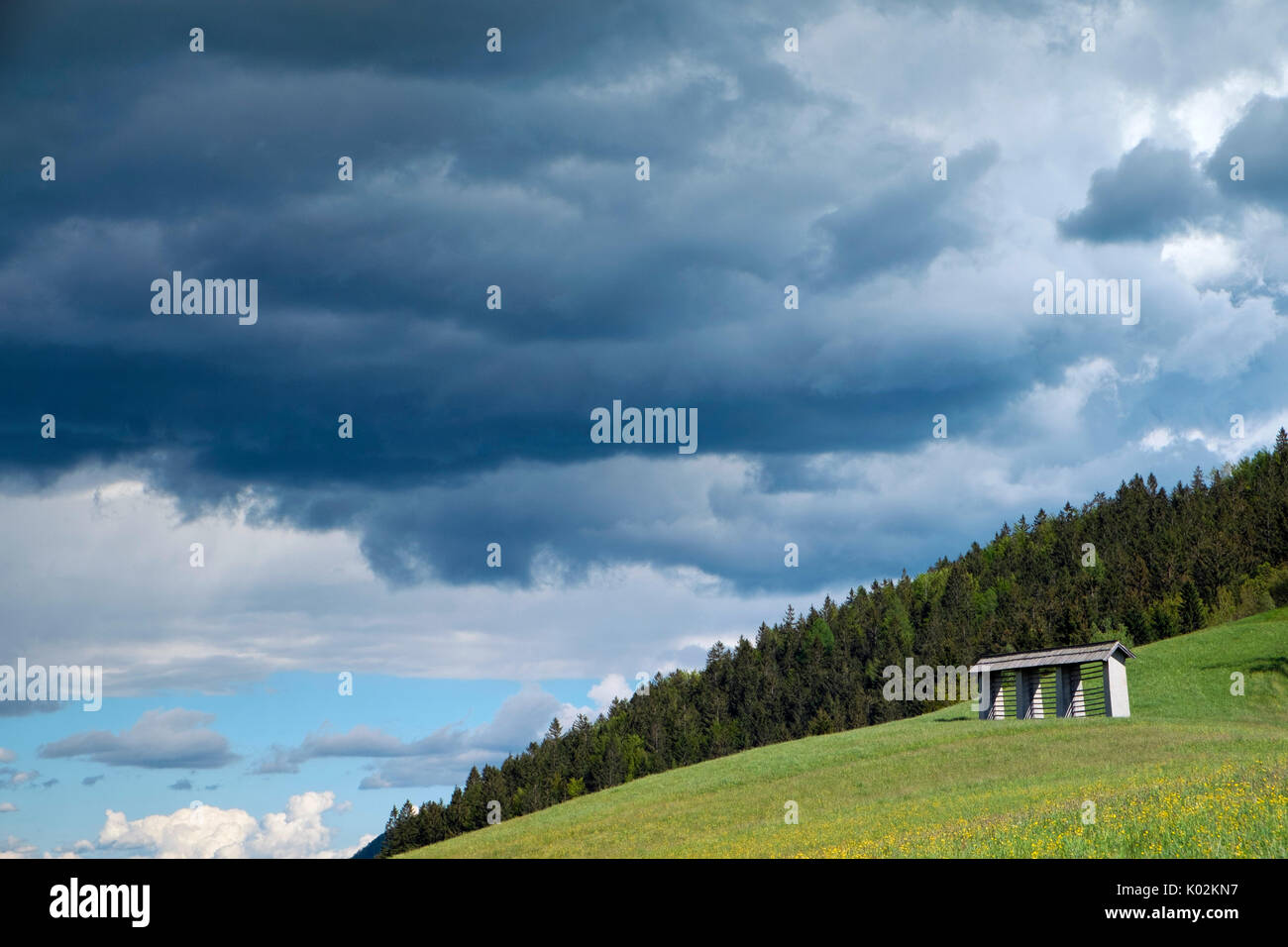 Hayrack kozolec field slovenia hi-res stock photography and images - Alamy