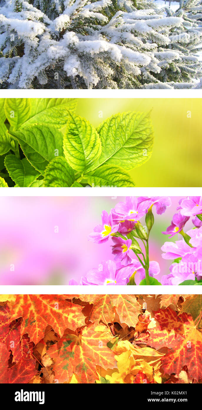 Four seasons of year. Horizontal nature banners with winter, spring ...