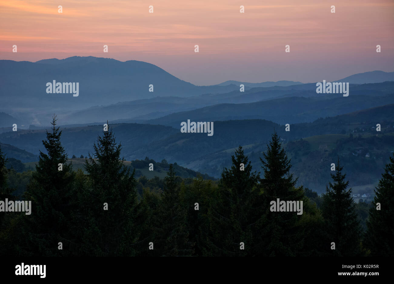 spectacular landscape with reddish sky at dawn in mountains and spruce tree top on foreground Stock Photo