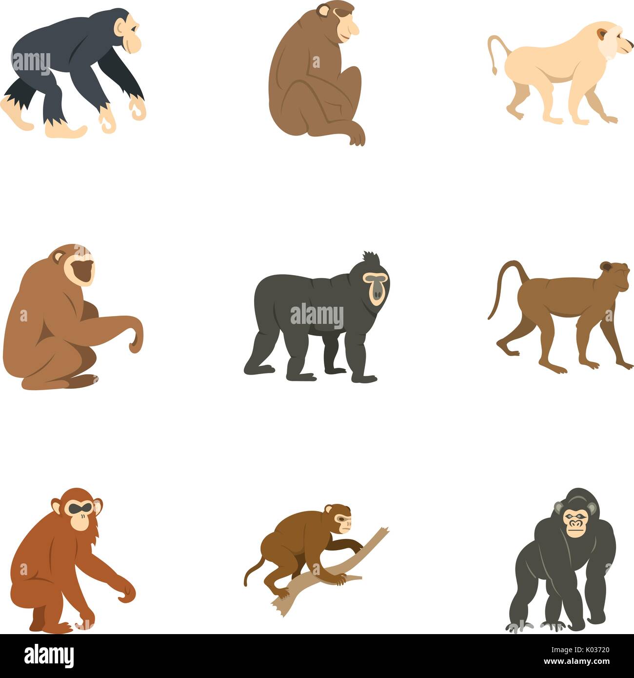 Species of monkey icon set, flat style Stock Vector Image & Art Alamy