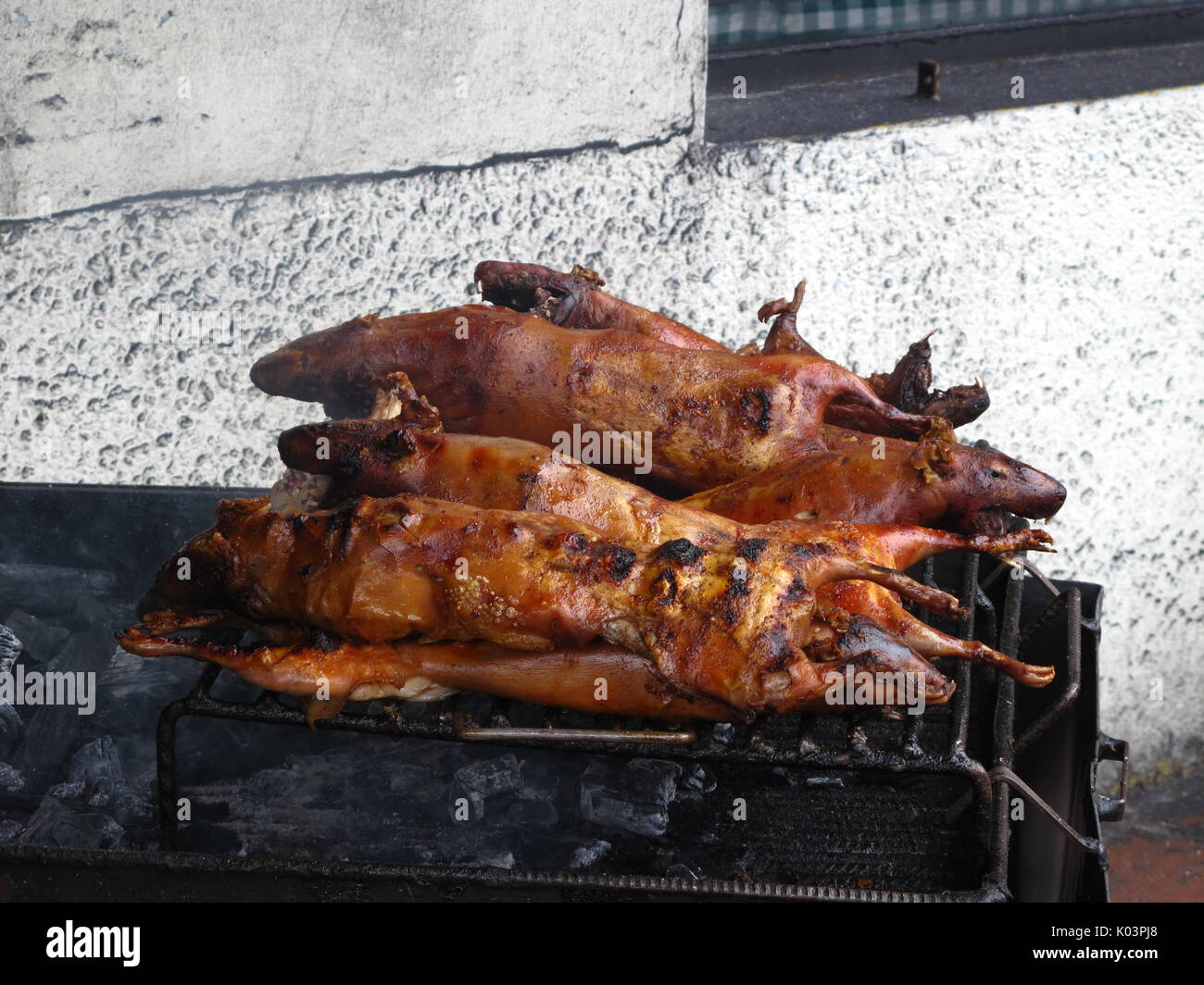 Traditional plate in Ecuador and Peru, the Cuy is grilled on the streets of Quito Stock Photo