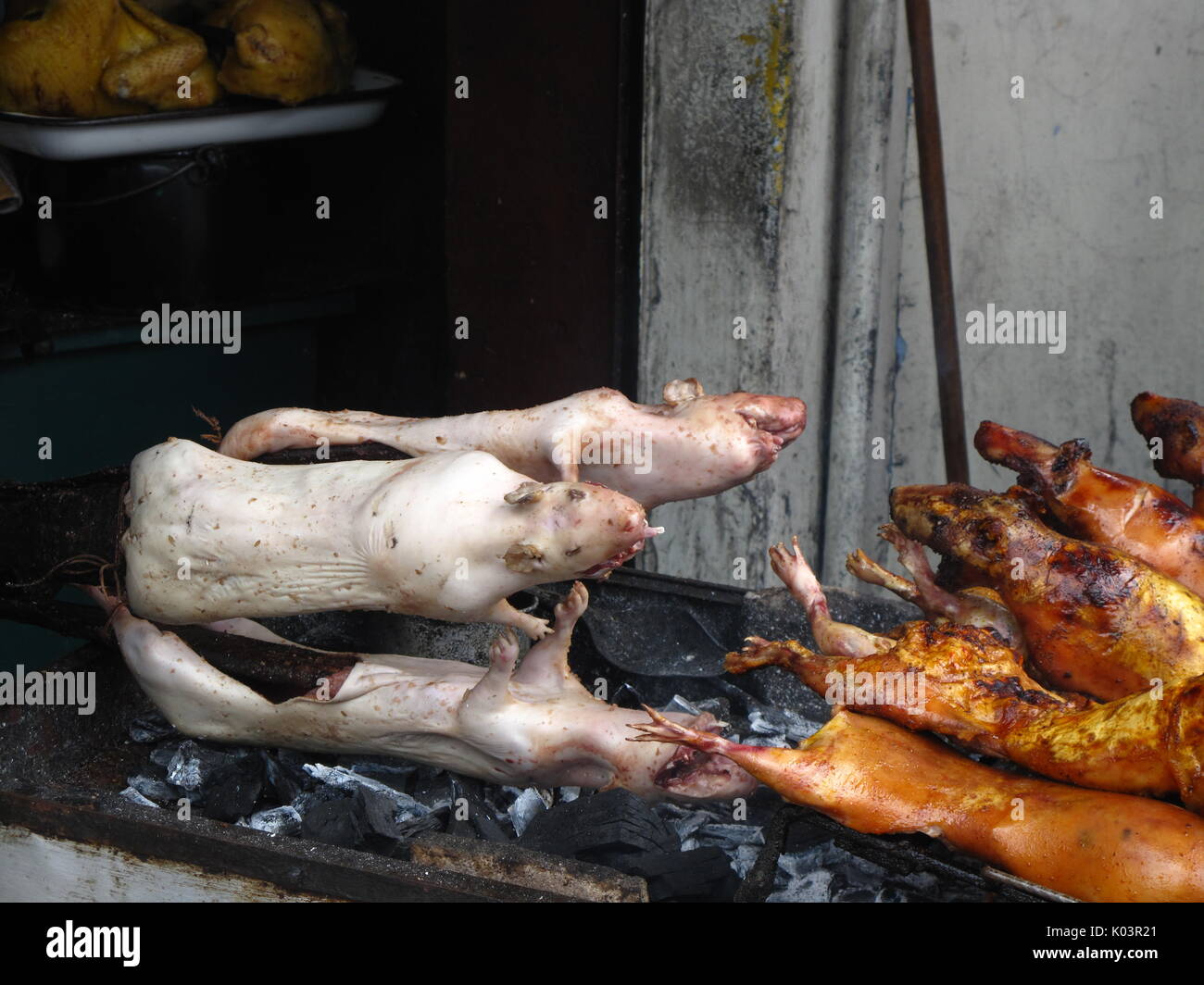 Traditional plate in Ecuador and Peru, the Cuy is grilled on the streets of Quito Stock Photo