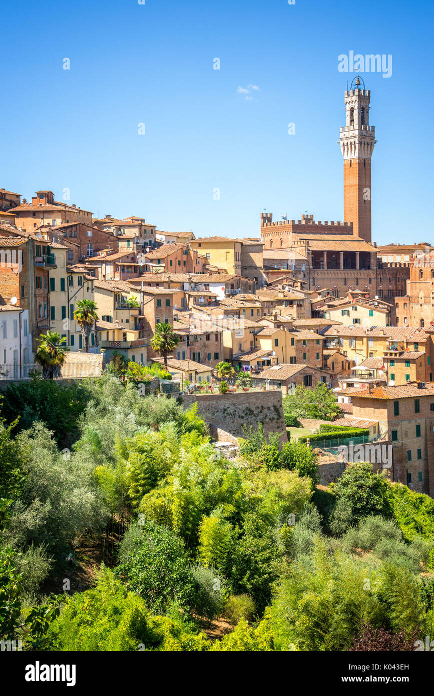 Cityscape of Siena, aerial view with the Torre del Mangia, Tuscany, Italy Stock Photo