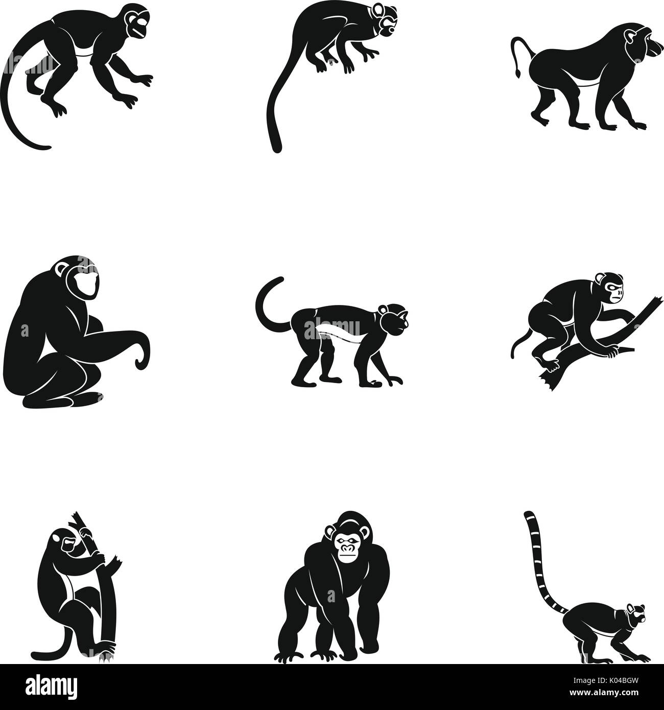 Species of monkey icon set, simple style Stock Vector Image & Art - Alamy