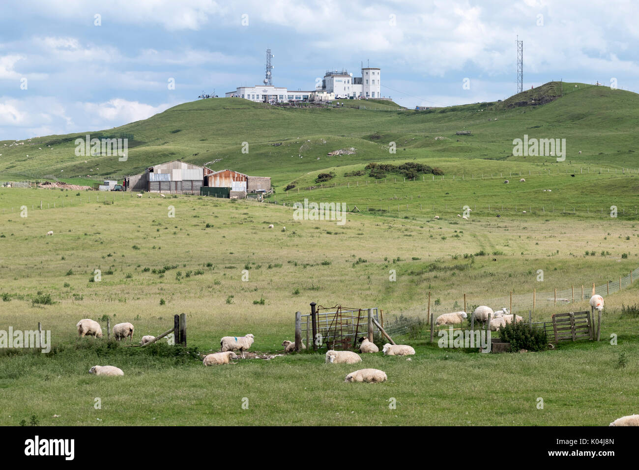 Parc Farm sheep farm near the Great Ormes Head summit in North Wales