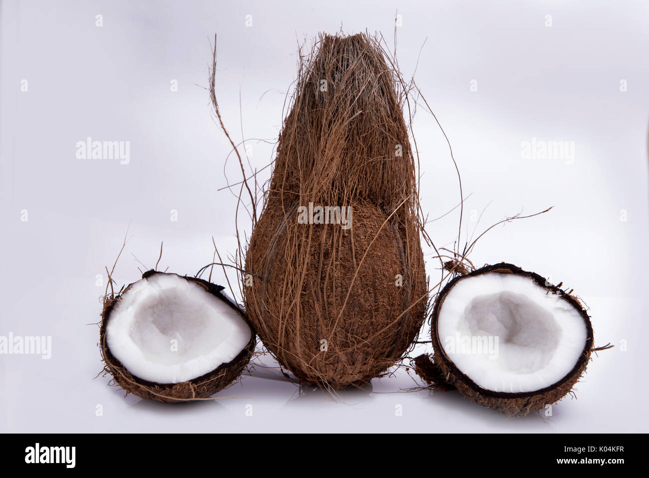 Mumbai / India 13 August 2014 Hairy Coconut fruit isolated over white ...