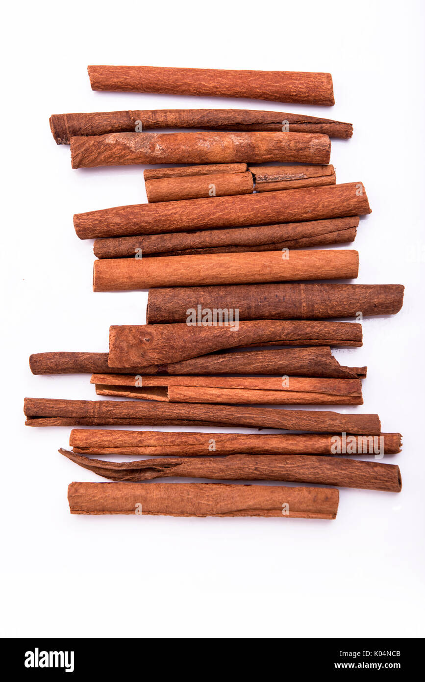 Mumbai / India 13 August 2014 Authentic Indian Spice Cinnamon Stick or Daalchini on a white background Stock Photo