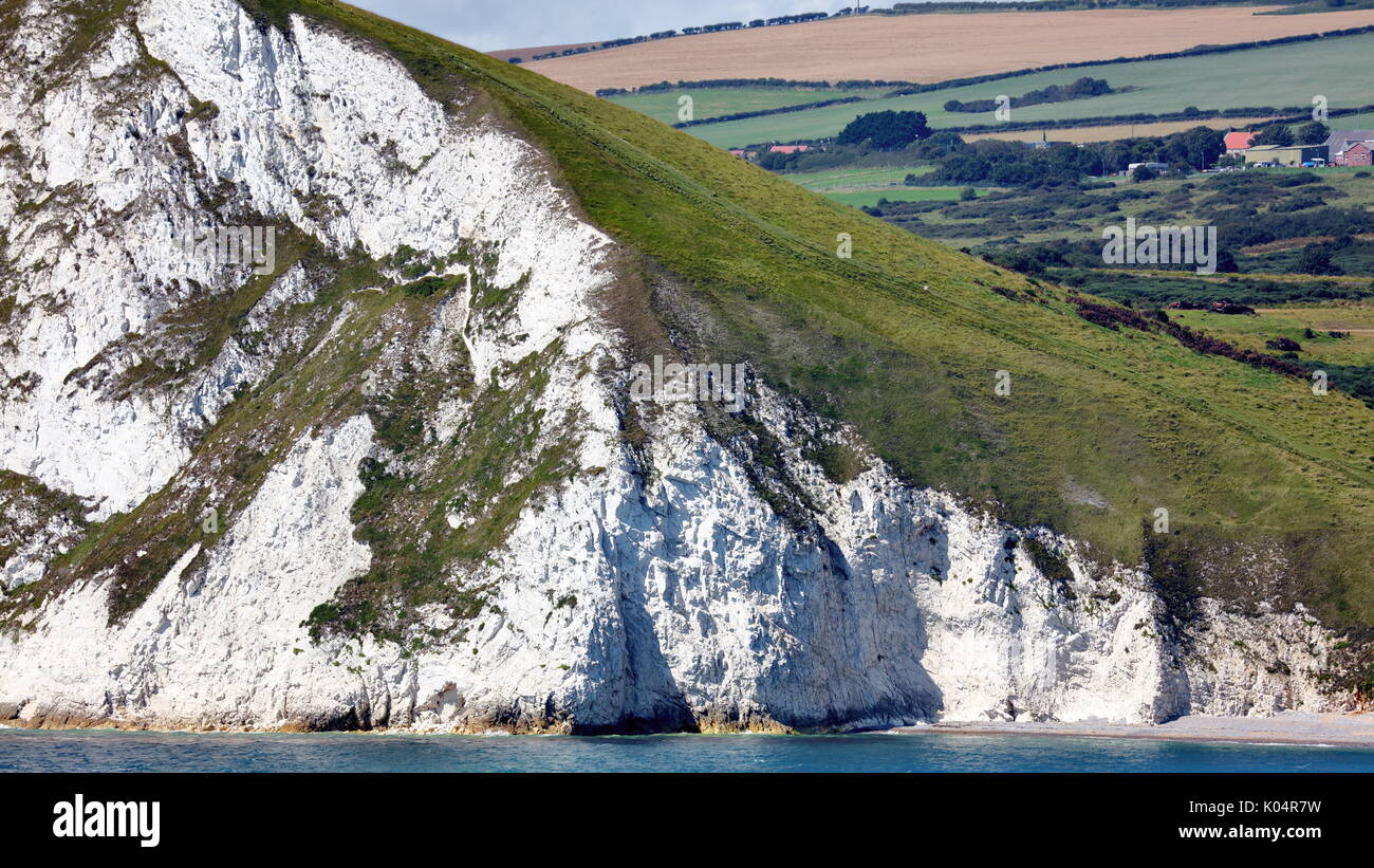 White chalk cliff structure with historic landslips to west of Arish