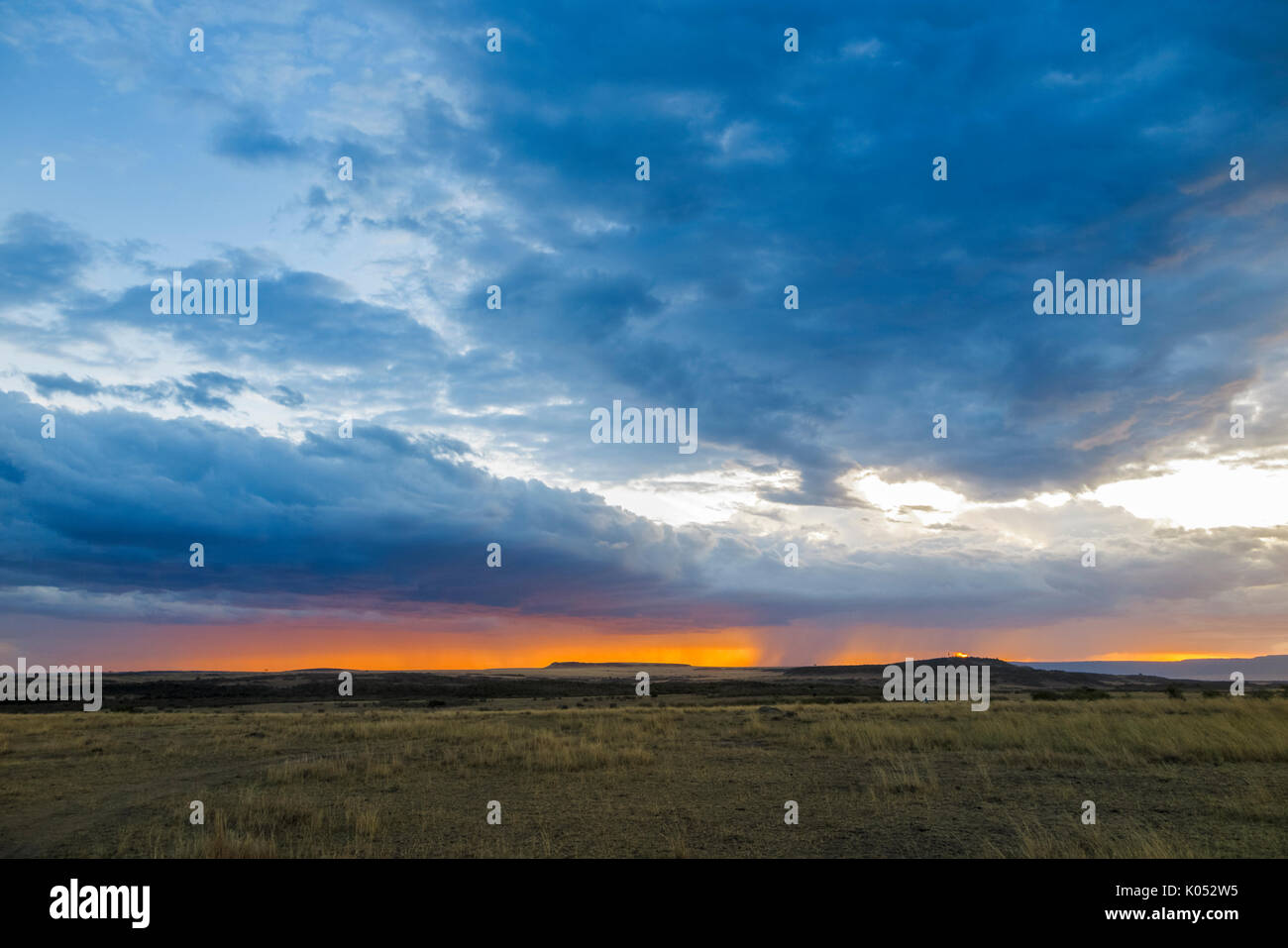 Panoramic landscape view: grey storm clouds gather over the savannah with impending rain at sunset, Masai Mara, Kenya Stock Photo