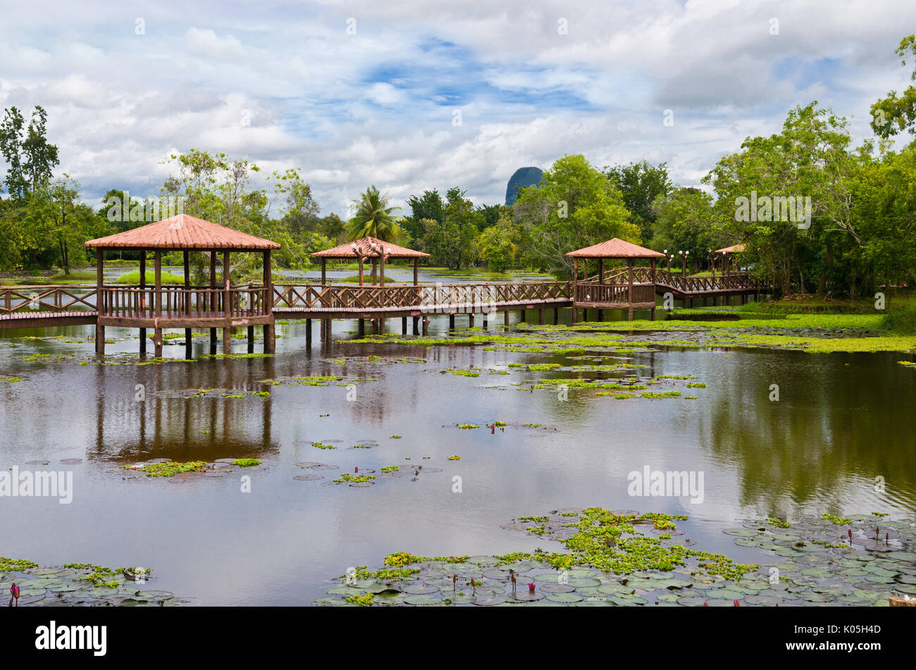 Taman Rekreasi Tasik Melati Perlis Malaysia Tasik Melati Is A Wetland With Its Wild Plant Locally Known As Kercit Stock Photo Alamy<script async src=