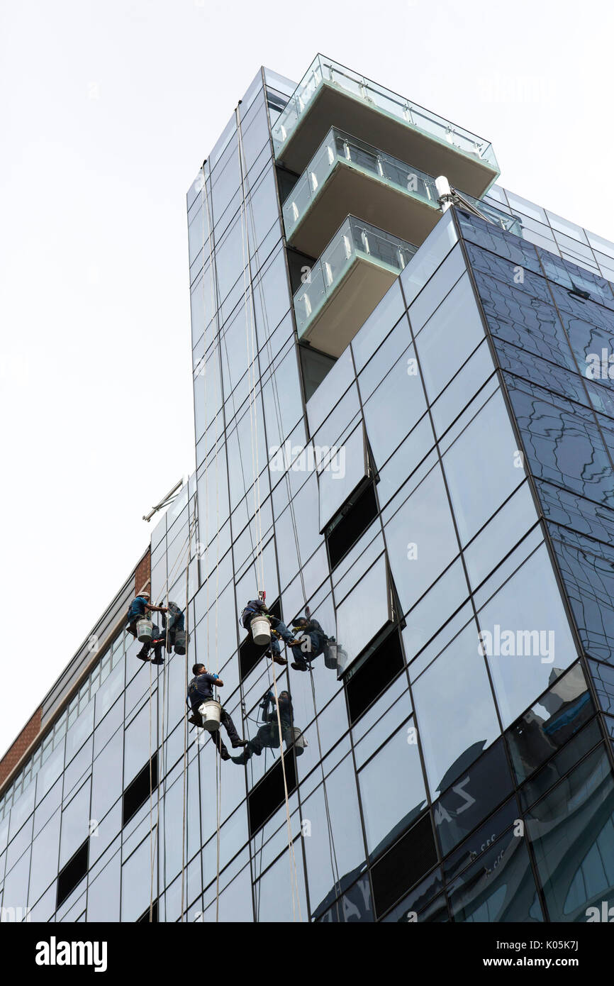 A team of cleaners hanging from ropes on the ourside of a building washing the windows. Stock Photo