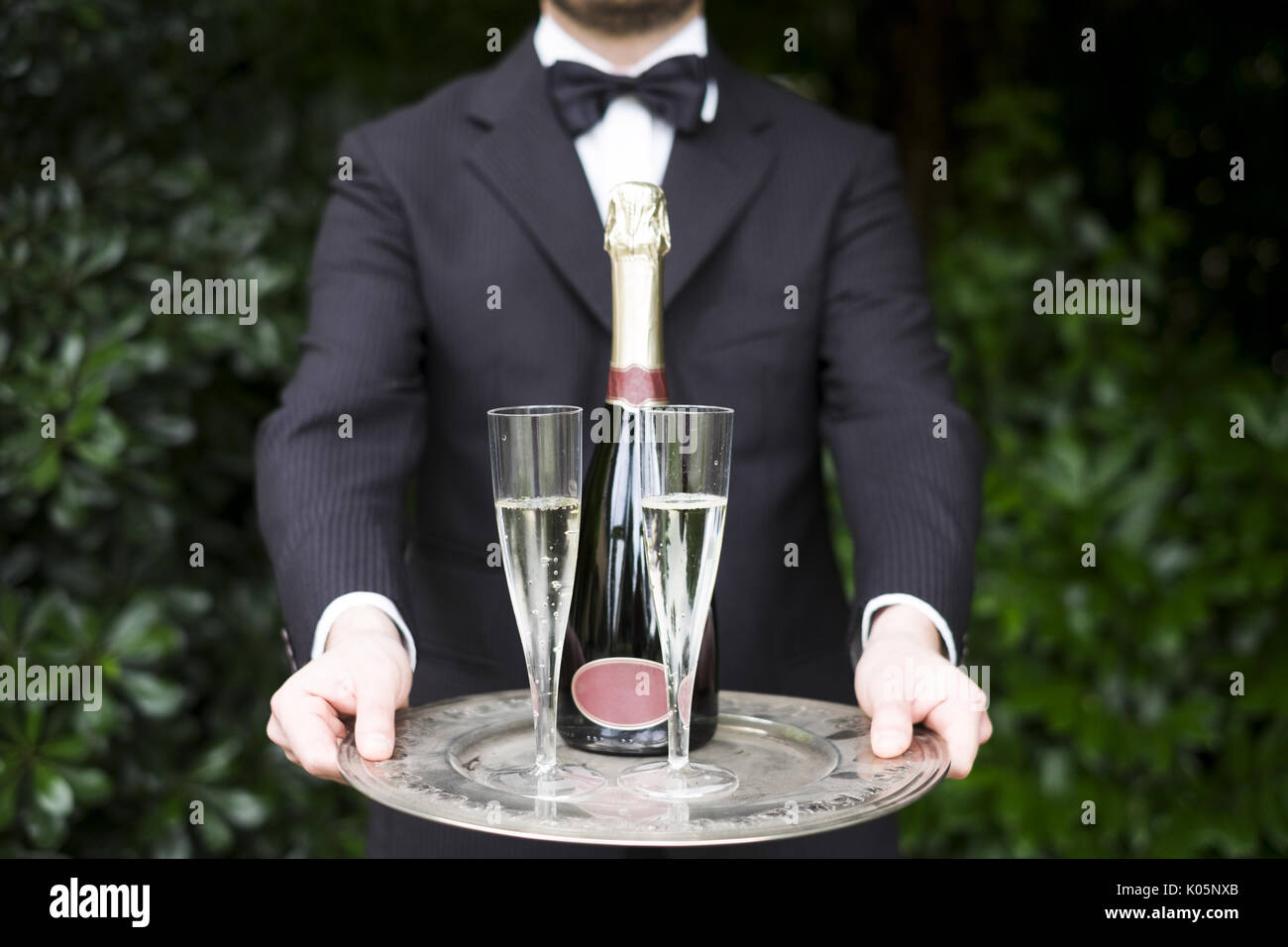 Professional waiter serving sparkling champagne wine glasses Stock