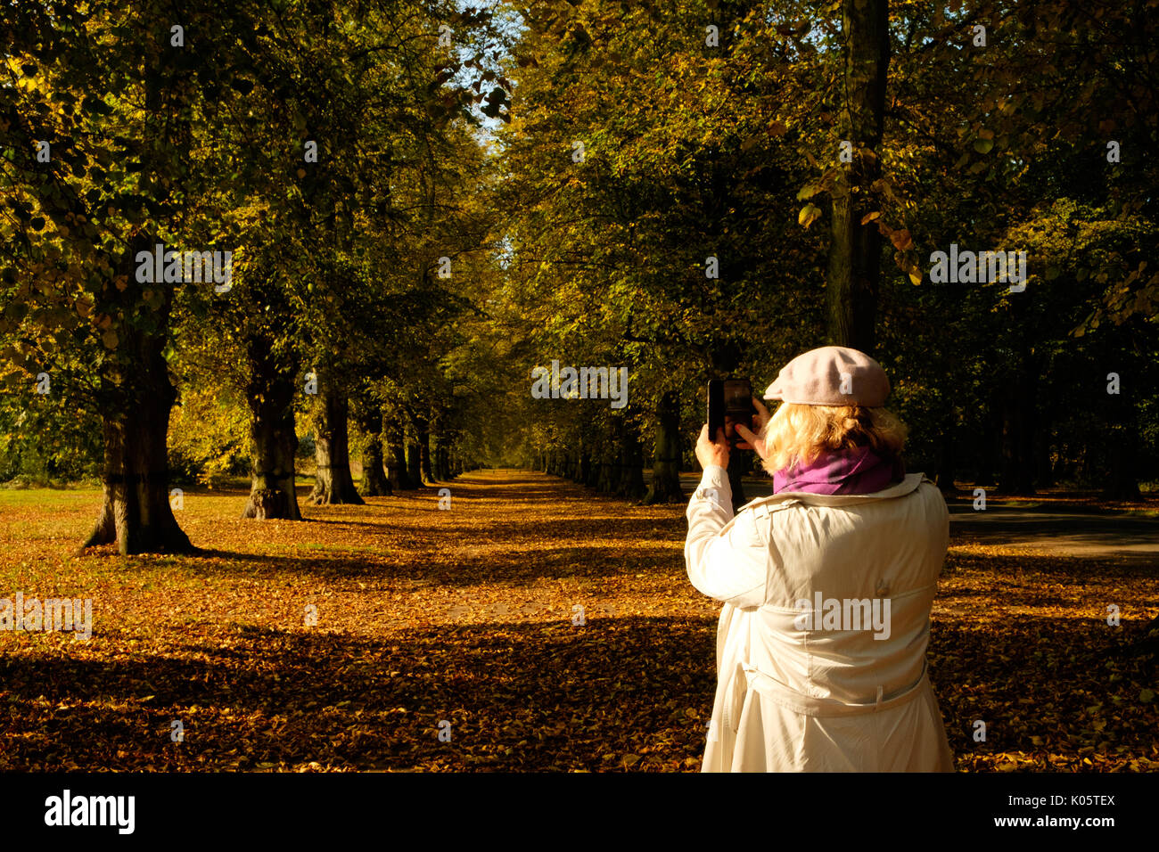 Woman taking photo of autumn trees Stock Photo