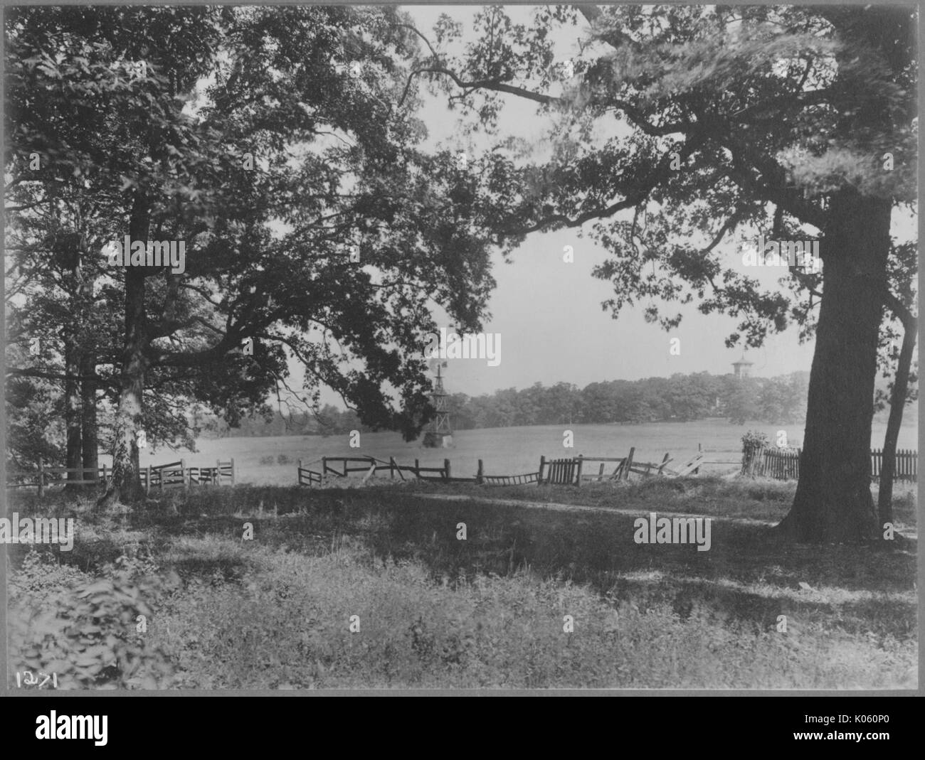 View of a large field near Roland Park and Guilford, there are weeds and untrimmed grass in the foreground and several trees line the area near a broken fence, there is a large open field in the background and trees that line the border, Baltimore, Maryland, 1910. This image is from a series documenting the construction and sale of homes in the Roland Park/Guilford neighborhood of Baltimore, a streetcar suburb and one of the first planned communities in the United States. Stock Photo