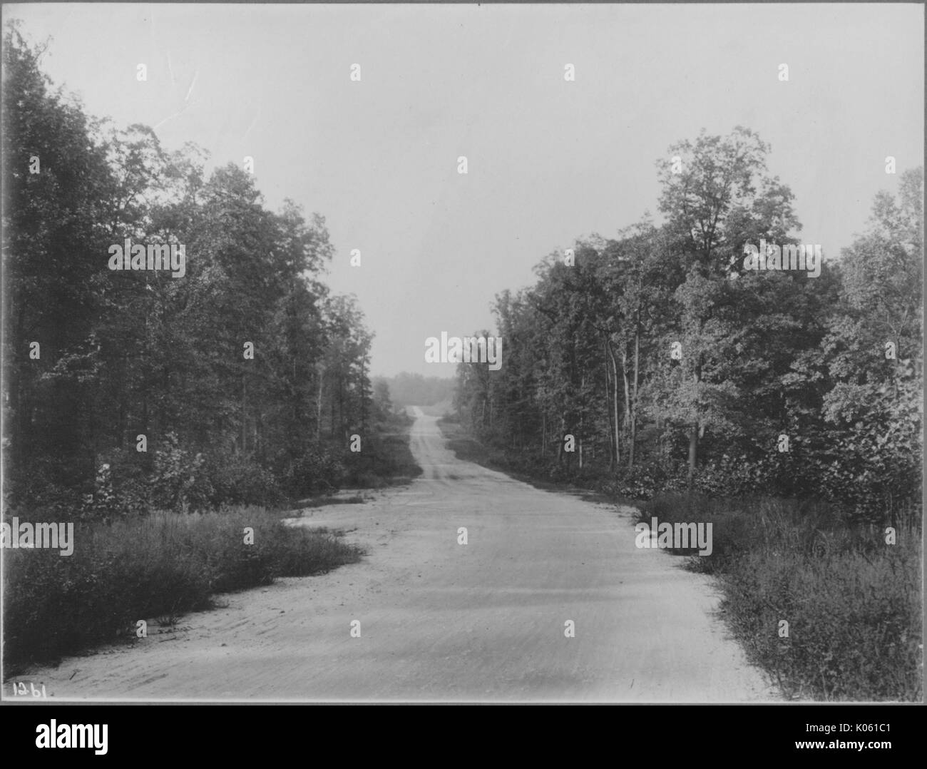 Long dirt road near Roland Park and Guilford, the road is bordered by weeds and untrimmed grass in the foreground and bordered by tall trees in the background, United States, 1910. This image is from a series documenting the construction and sale of homes in the Roland Park/Guilford neighborhood of Baltimore, a streetcar suburb and one of the first planned communities in the United States. Stock Photo