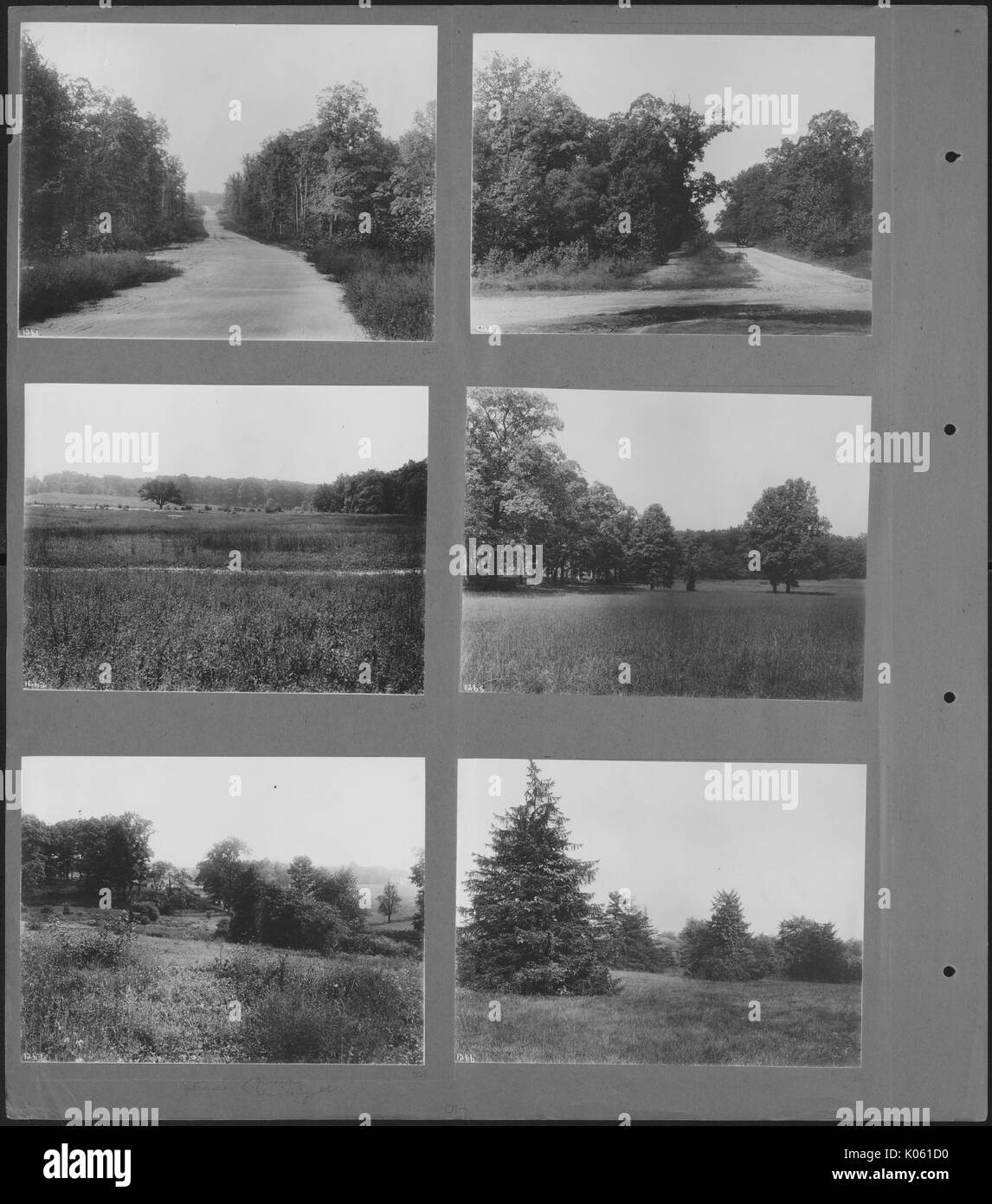 Six small photos of unoccupied land of Roland Park and Guilford, the land is composed of untrimmed grass and trees, United States, 1910. This image is from a series documenting the construction and sale of homes in the Roland Park/Guilford neighborhood of Baltimore, a streetcar suburb and one of the first planned communities in the United States. Stock Photo