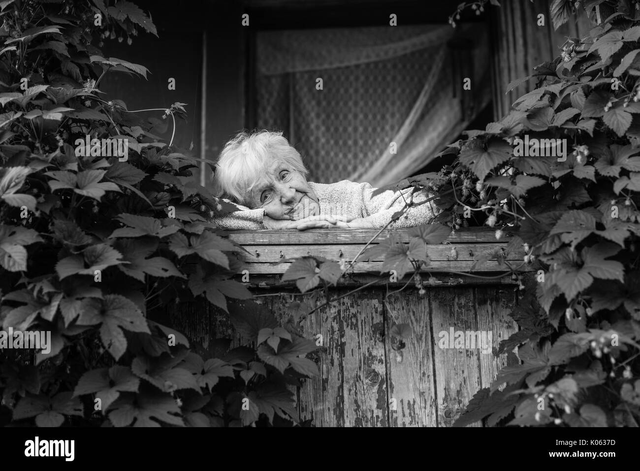 An elderly woman in the porch among the bushes Stock Photo - Alamy