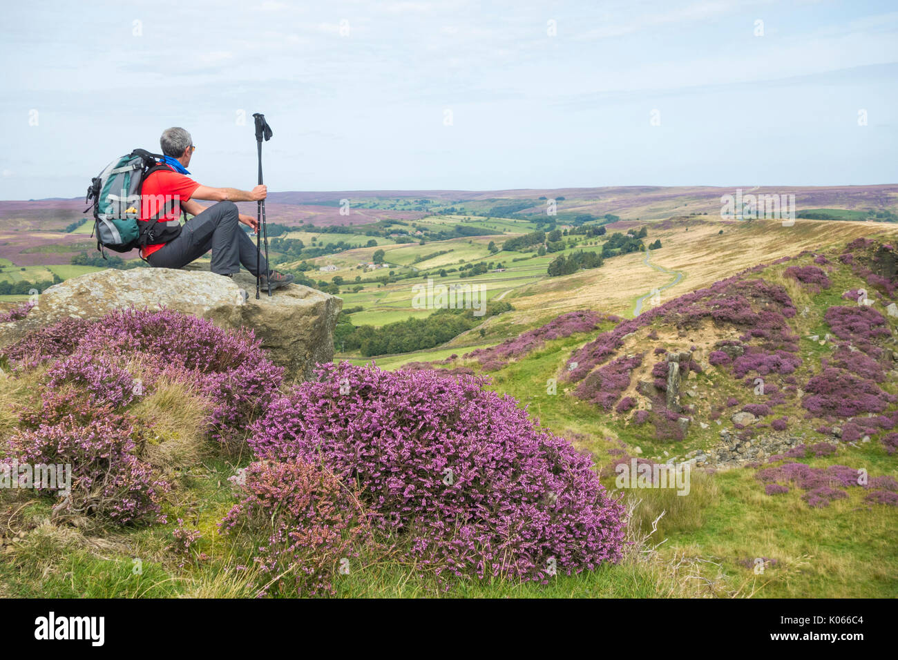Male hiker on Castleton Rigg overlooking Westerdale with heather in flower. North York Moors National park England, UK. Stock Photo