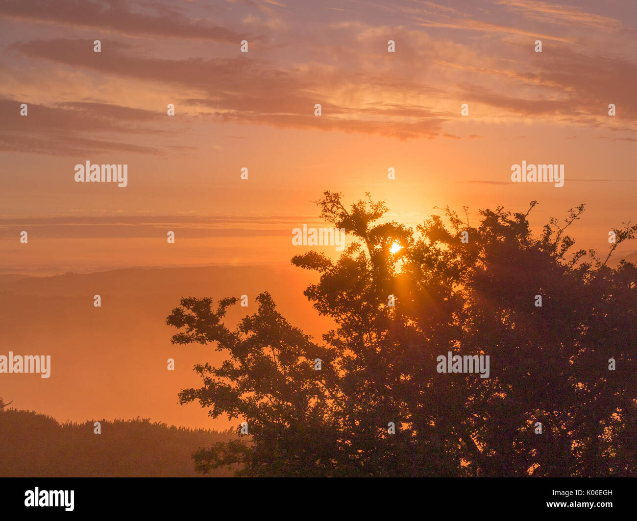 Pilsden Pen, Dorset, UK. 22nd Aug 2017. UK Weather. Beautiful foggy and misty start to the day in west Dorset viewed from the seconf highes point in Dorset. Credit: DTNews/Alamy Live News Stock Photo