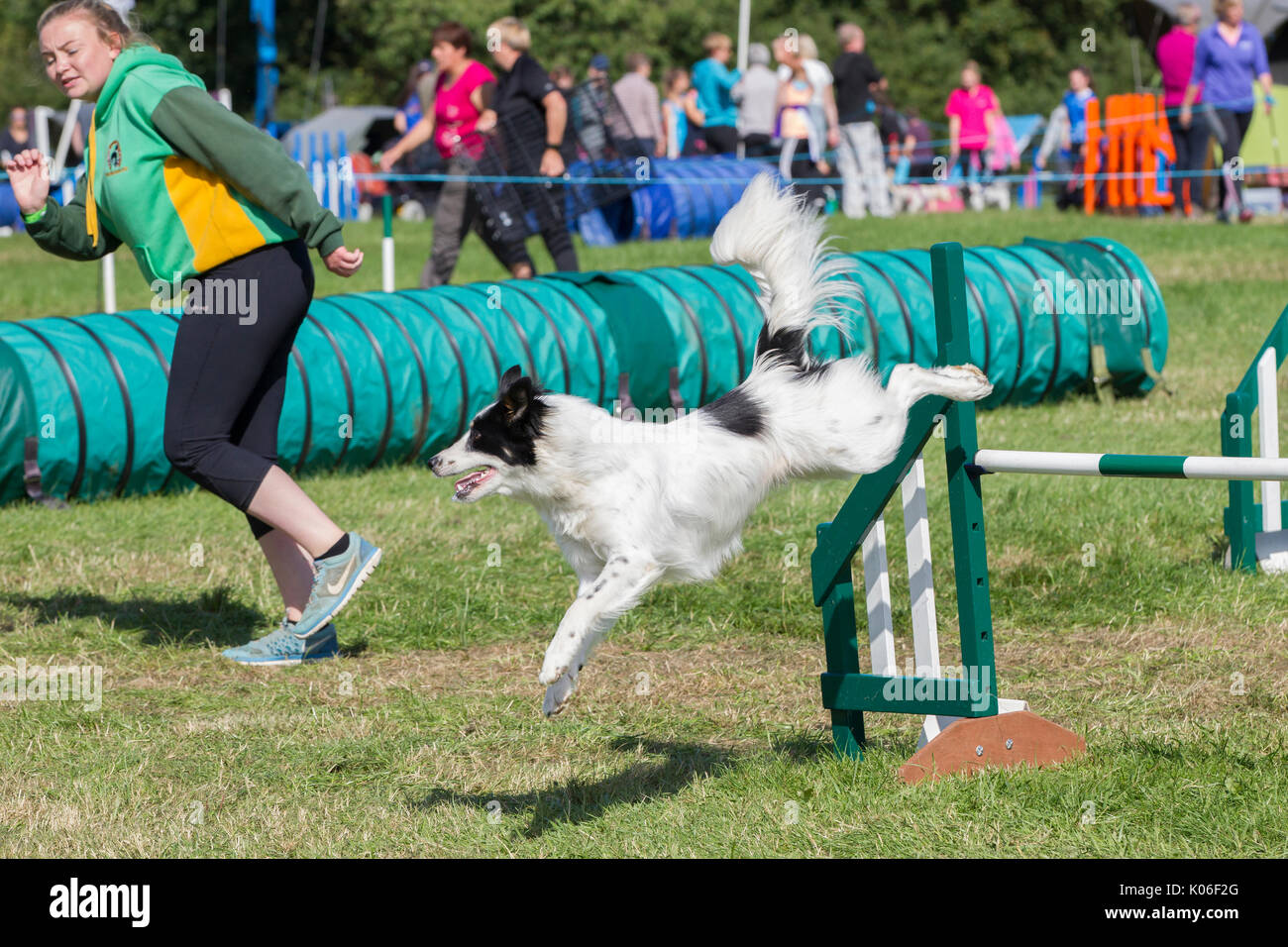 Rockingham, Northamptonshire, U.K. Kennel Club International. Dog