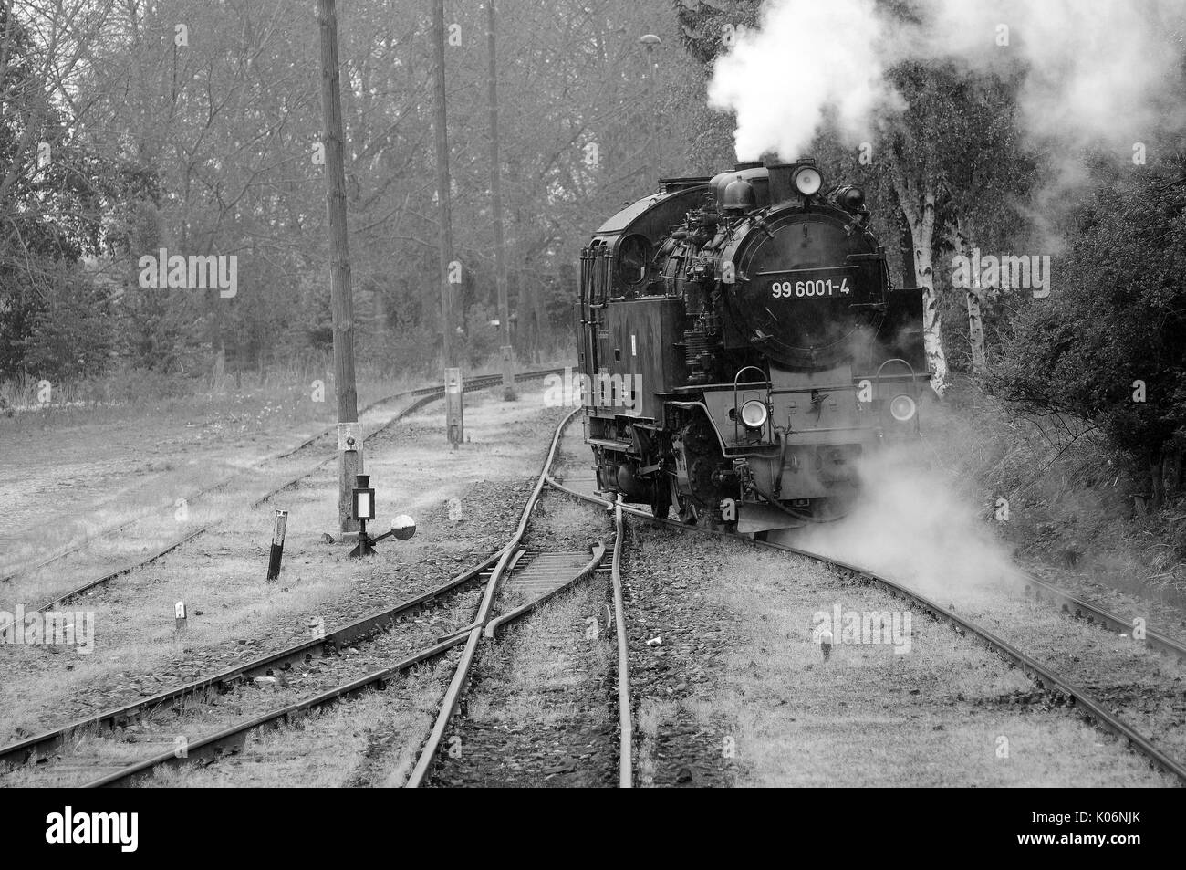 99 6001-4 running round in the rain at Hasselfelde. Harzer Schmalspurbahnen. Stock Photo