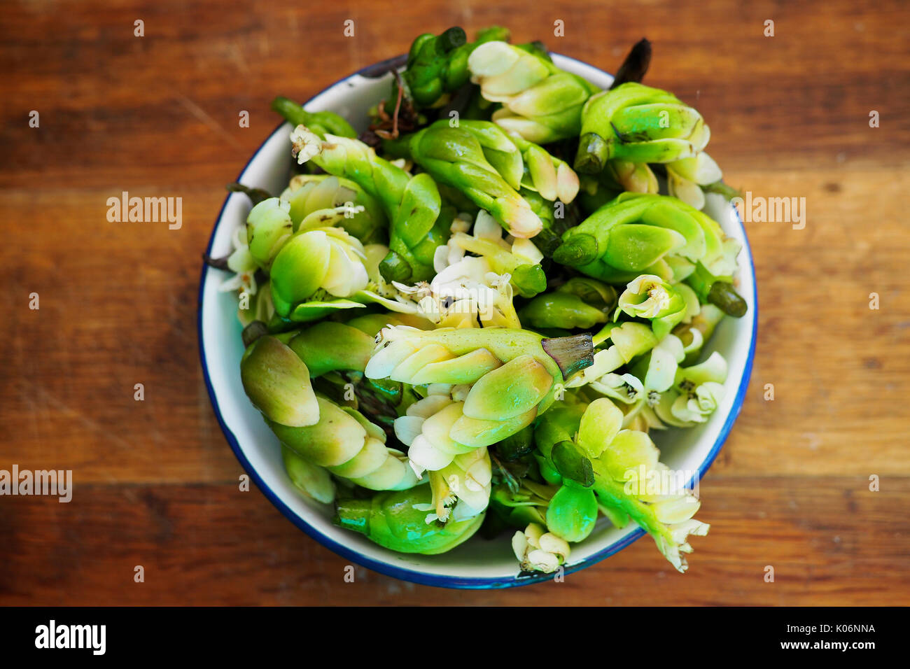 Rare delicacy from South Africa, Waterblometjies, or Cape Asparagus Stock Photo