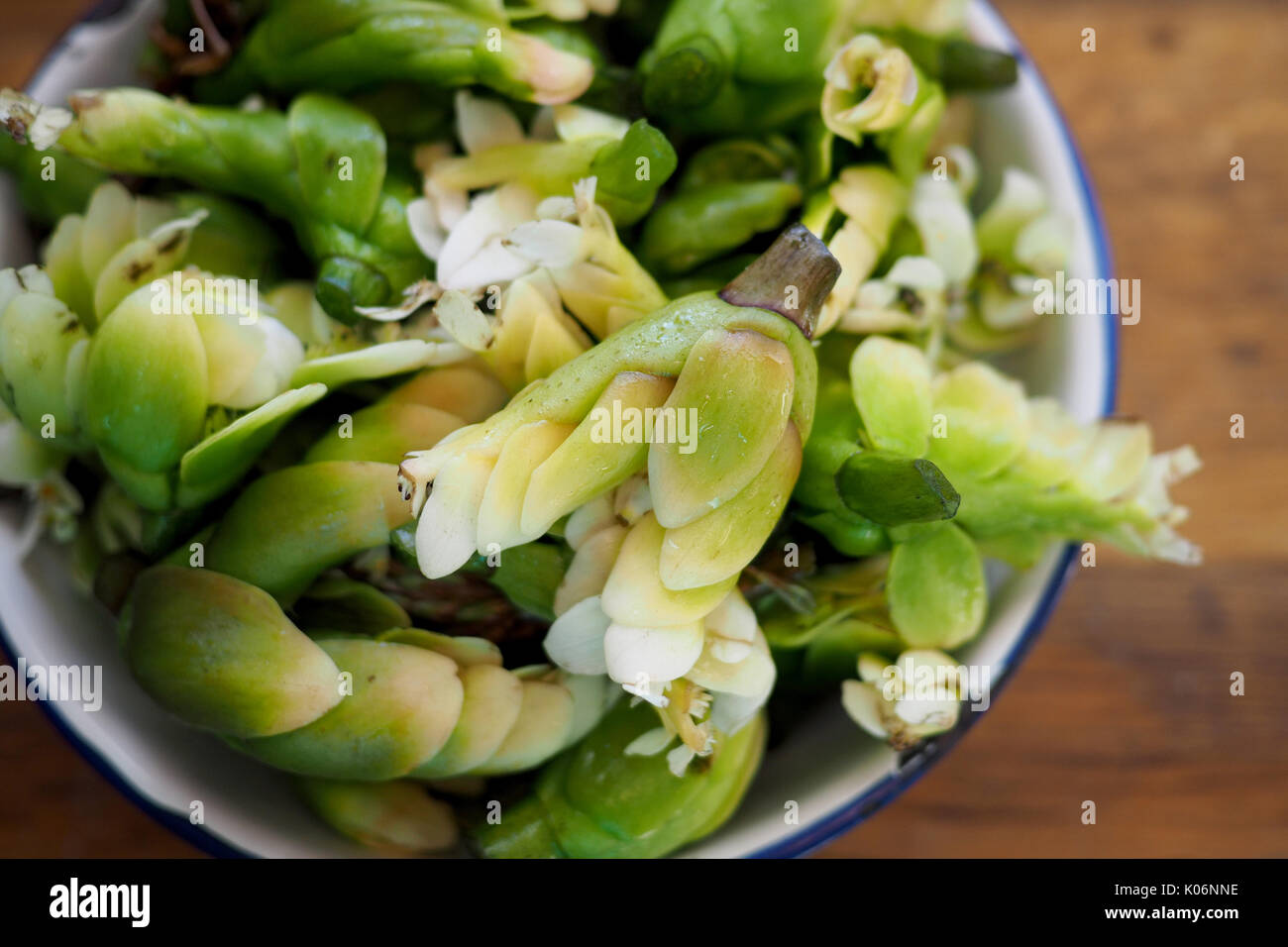 Waterblommetjies, Cape Asparagus from South Africa Stock Photo