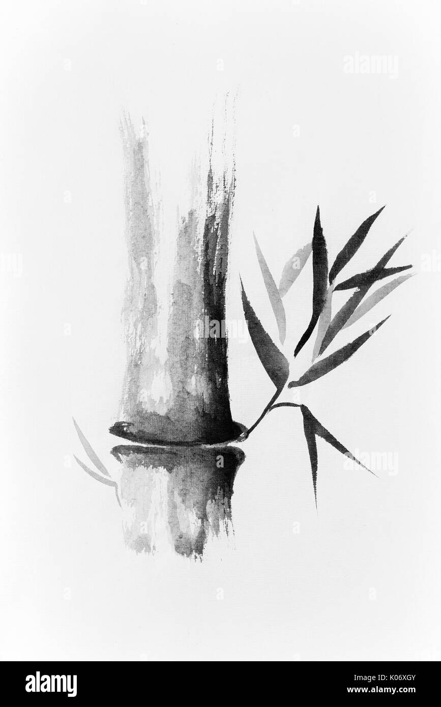 License available at MaximImages.com - Beautiful Zen painting of bamboo stalk and leaves. Sumi-e Chinese Japanese black ink on rice paper illustration Stock Photo
