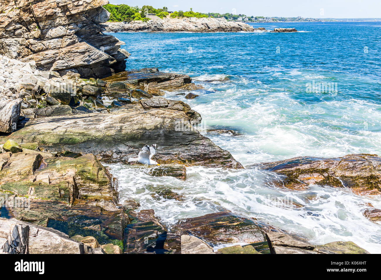 Cliff rocks side view with flying seagullby Portland Head Lighthouse in