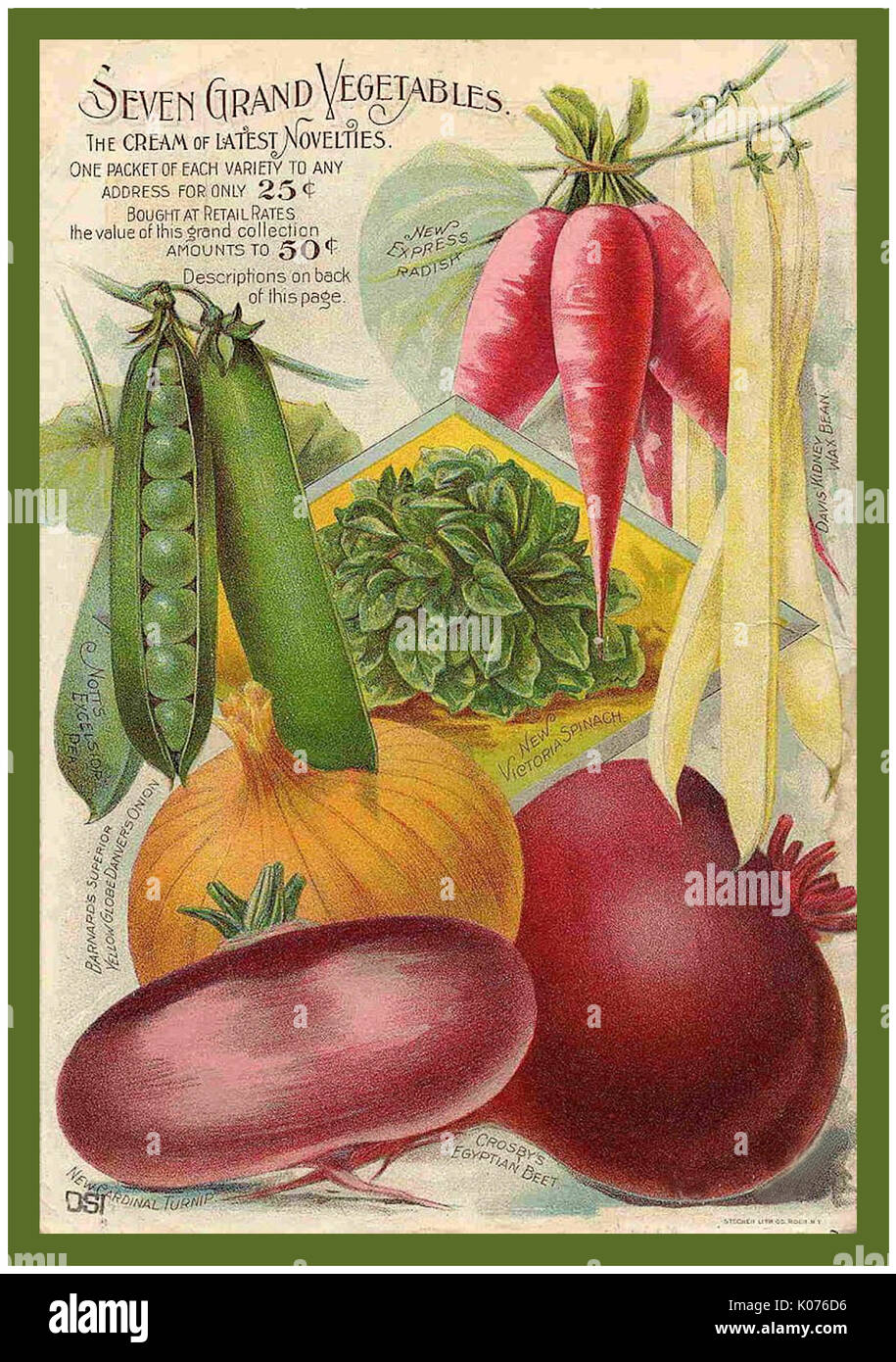 Buist/'s Tomato Vintage Vegetables Seed Packet Catalogue Advertisement Poster