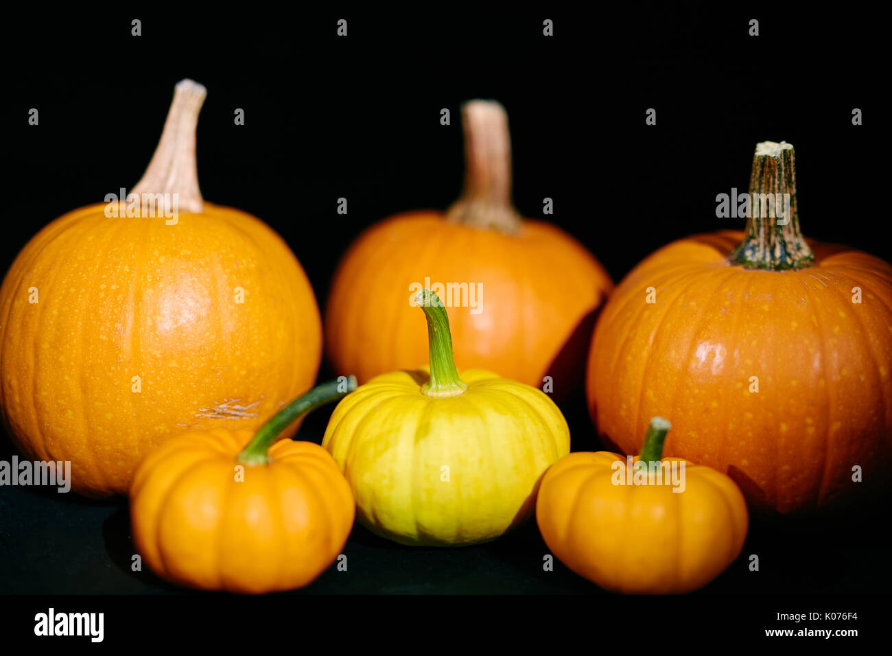 Ripe pumpkins Stock Photo
