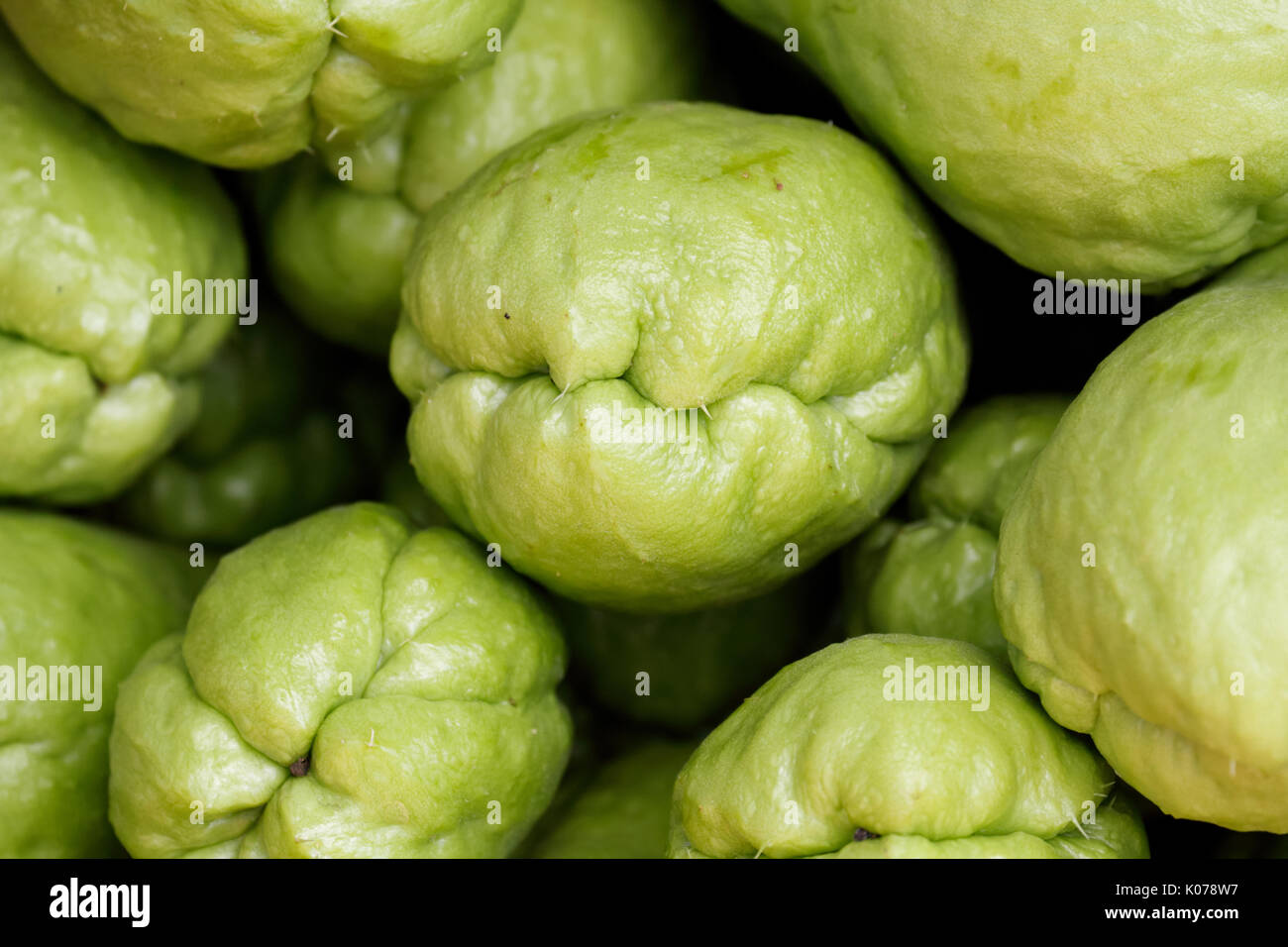 Close up chayote (Sechium edule) fruit background look like a group of monster head Stock Photo
