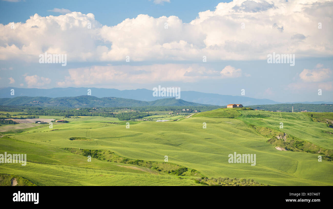 Mucigliani countryside, Crete senesi, Tuscany, Italy Stock Photo