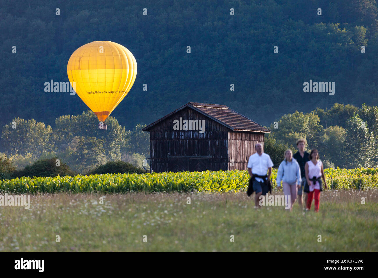People Walking Across a Field with a Hot Air Balloon Illuminated by the Setting Sun Behind, Dordogne, France, Europe. Stock Photo
