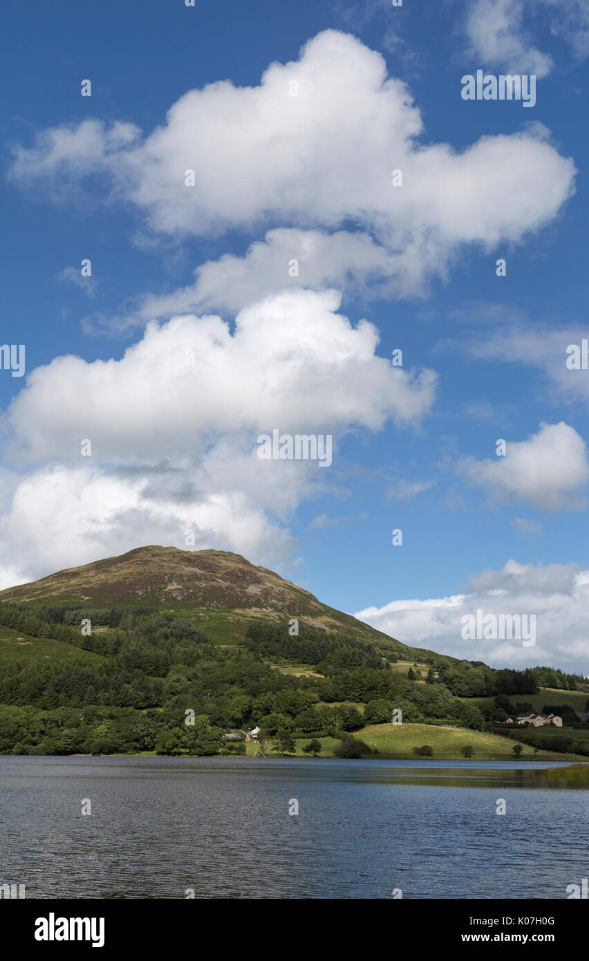 The southern end of Loweswater in the English Lake District, Cumbria Stock Photo