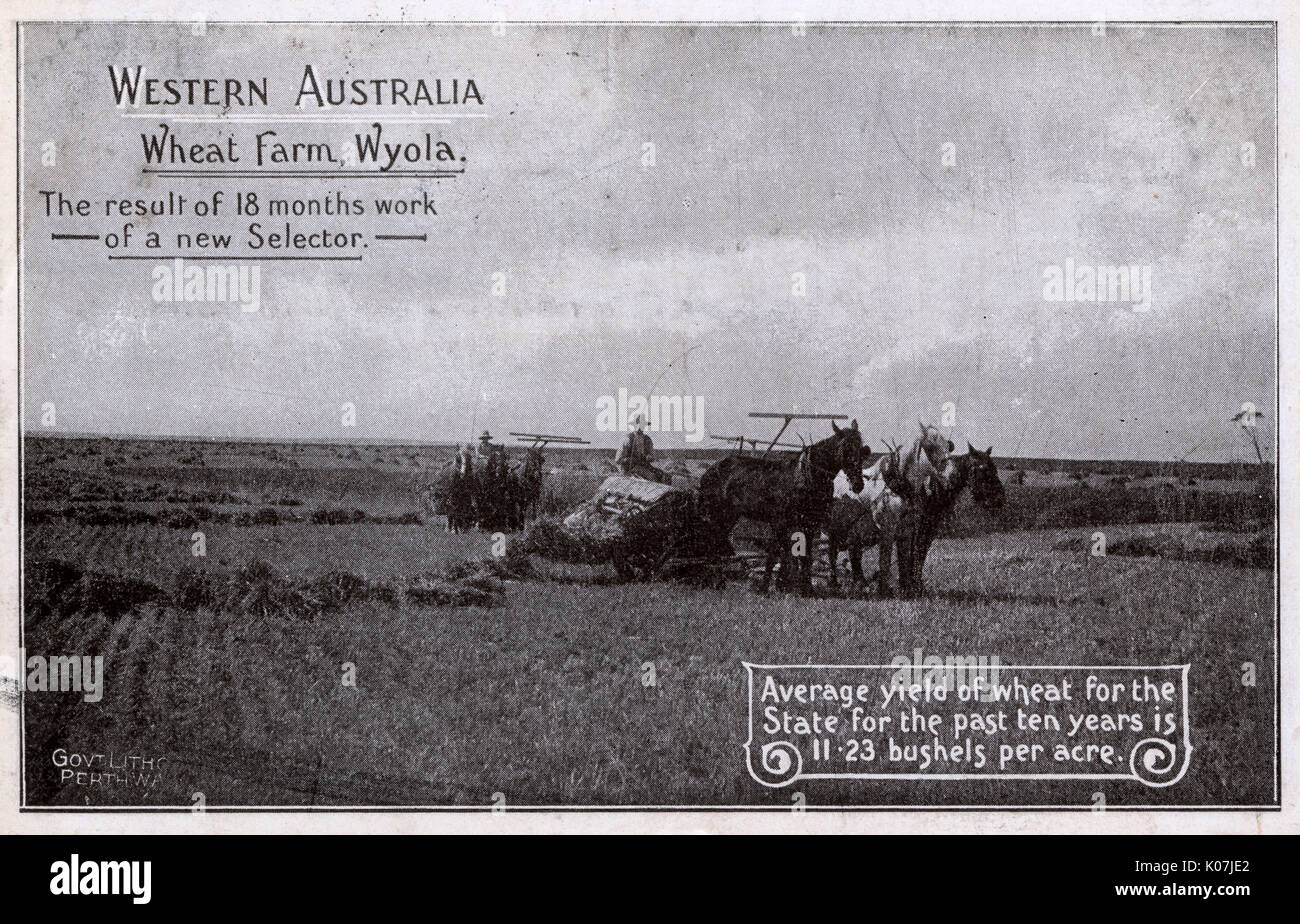 Harvest dating australia
