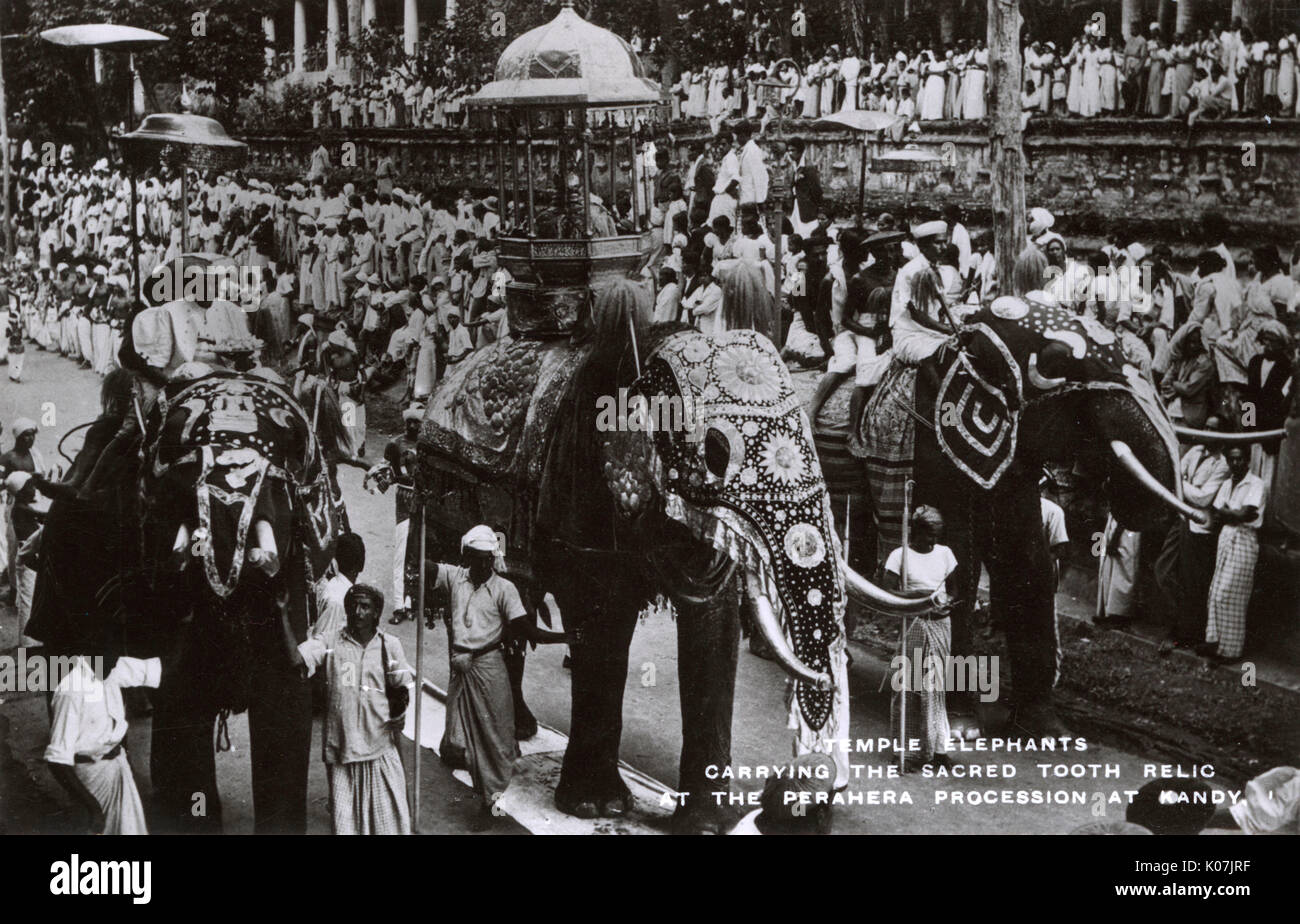 Buddhism Temple Elephants carrying the sacred tooth relic at the