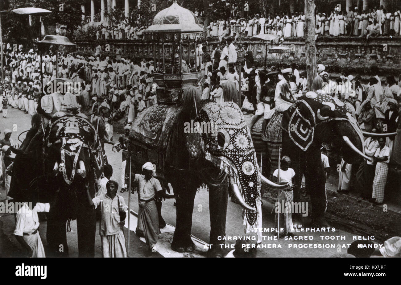 Buddhism - Temple Elephants carrying the sacred tooth relic at the Perahera Procession, Kandy, Sri Lanka - during the Kandy Esala Perahera (The Festival of the Tooth).     Date: circa 1920s Stock Photo