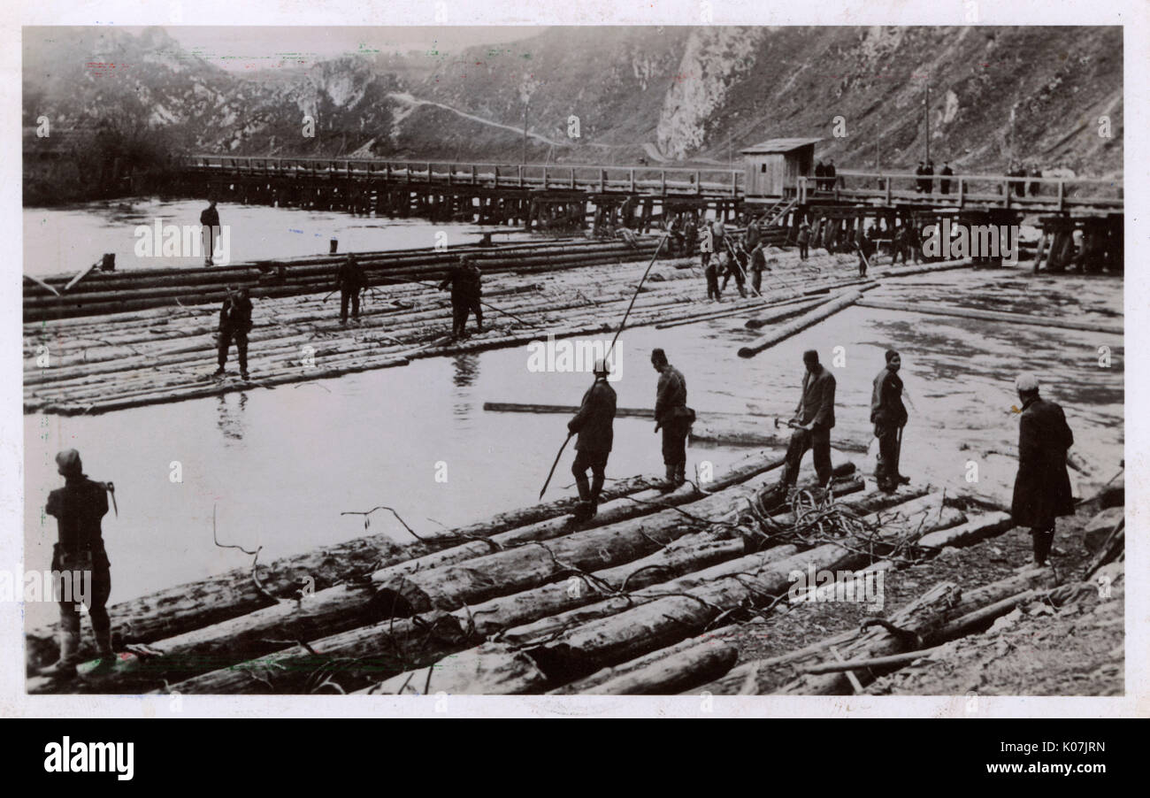 Bosnia and Herzegovina - Drvar - already well known in the Austrian-Hungarian era due to the high-quality wood coming from that area. The Drvar area is still one of the largest logging and wood-processing locations in the country.     Date: circa 1906 Stock Photo