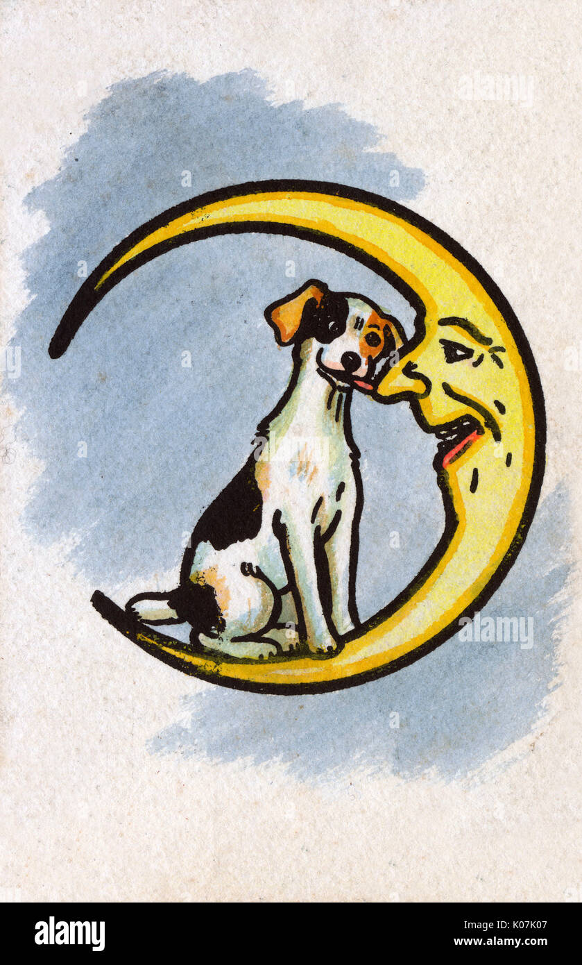 A Jolly Jack Russell licks the Moon's nose Stock Photo