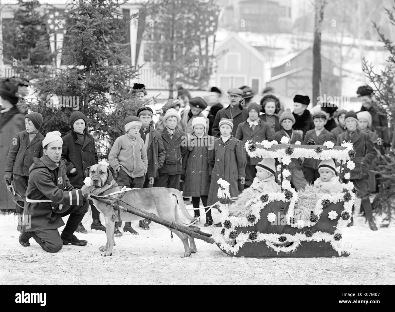 Children in a dog sled at Midwinter carnival children's para Stock Photo