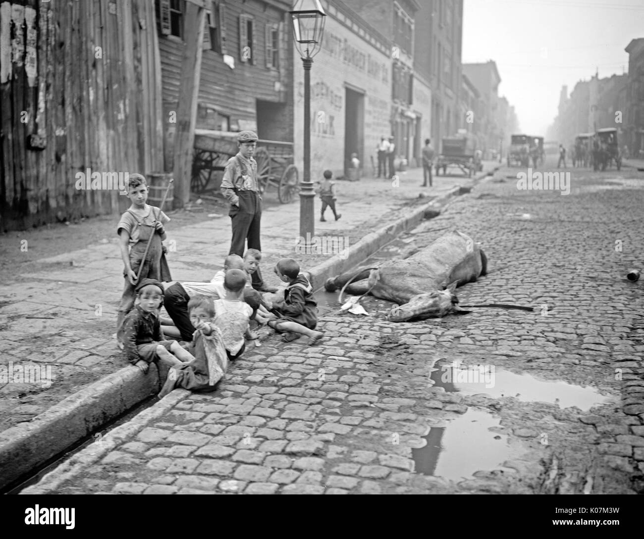 Children with a dead horse in the street in New York City, USA Date