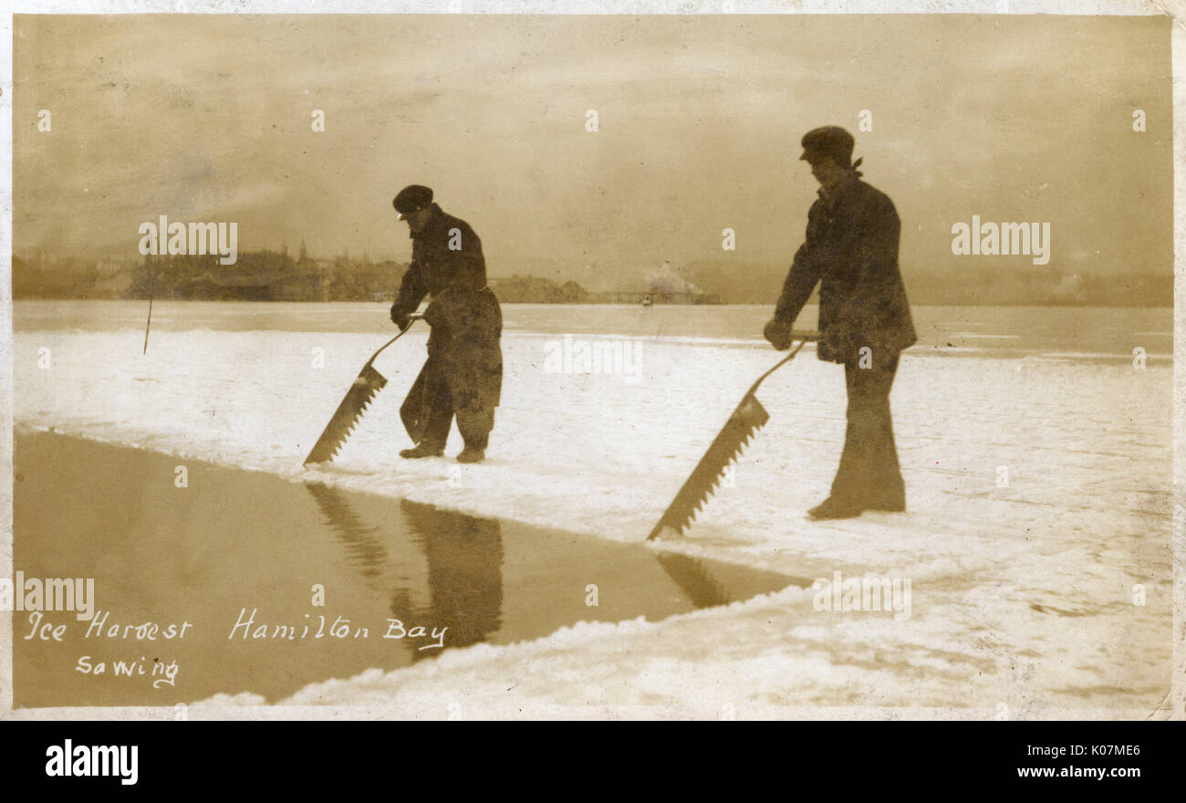 Photo horses pulling ice saws, ice harvesting Hamilton Canada c. 1910s Photo horses pulling ice saws, ice harvesting Hamilton Canada c. 1910s
