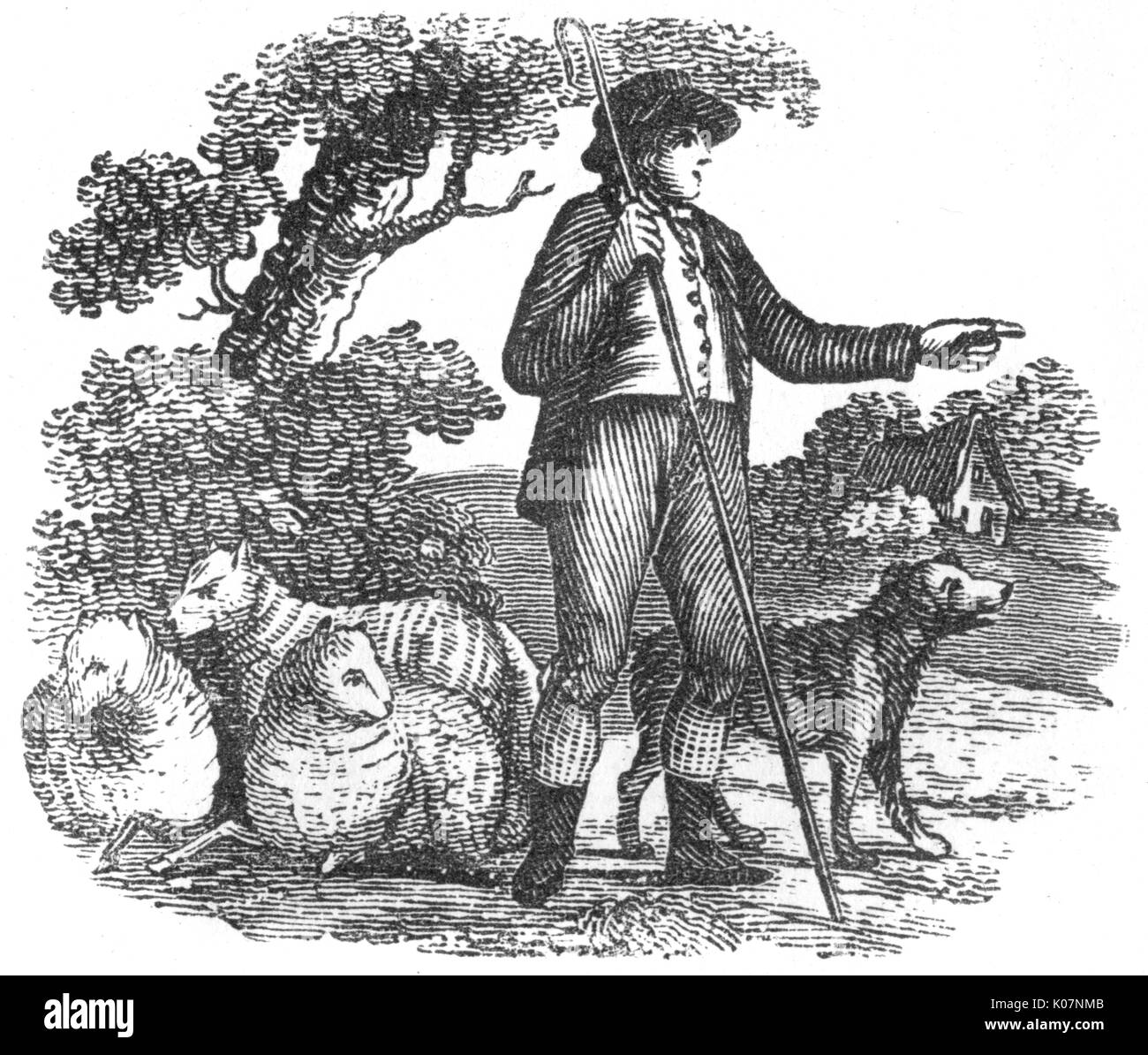 A shepherd with sheep and dog, c. 1800 Date C.1800 Stock Photo Alamy