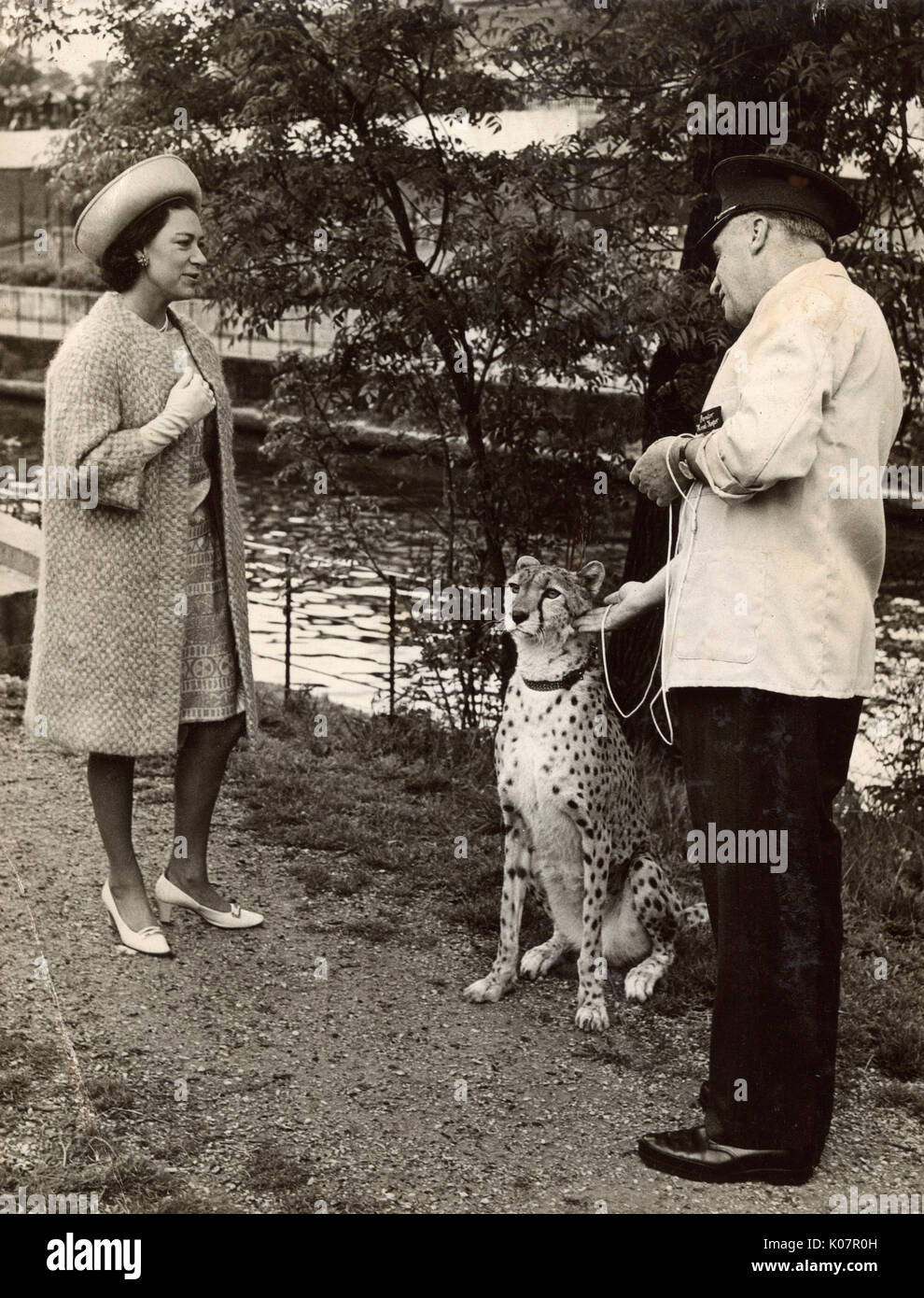 Princess Margaret meeting a Cheetah and Zoo Keeper Stock Photo