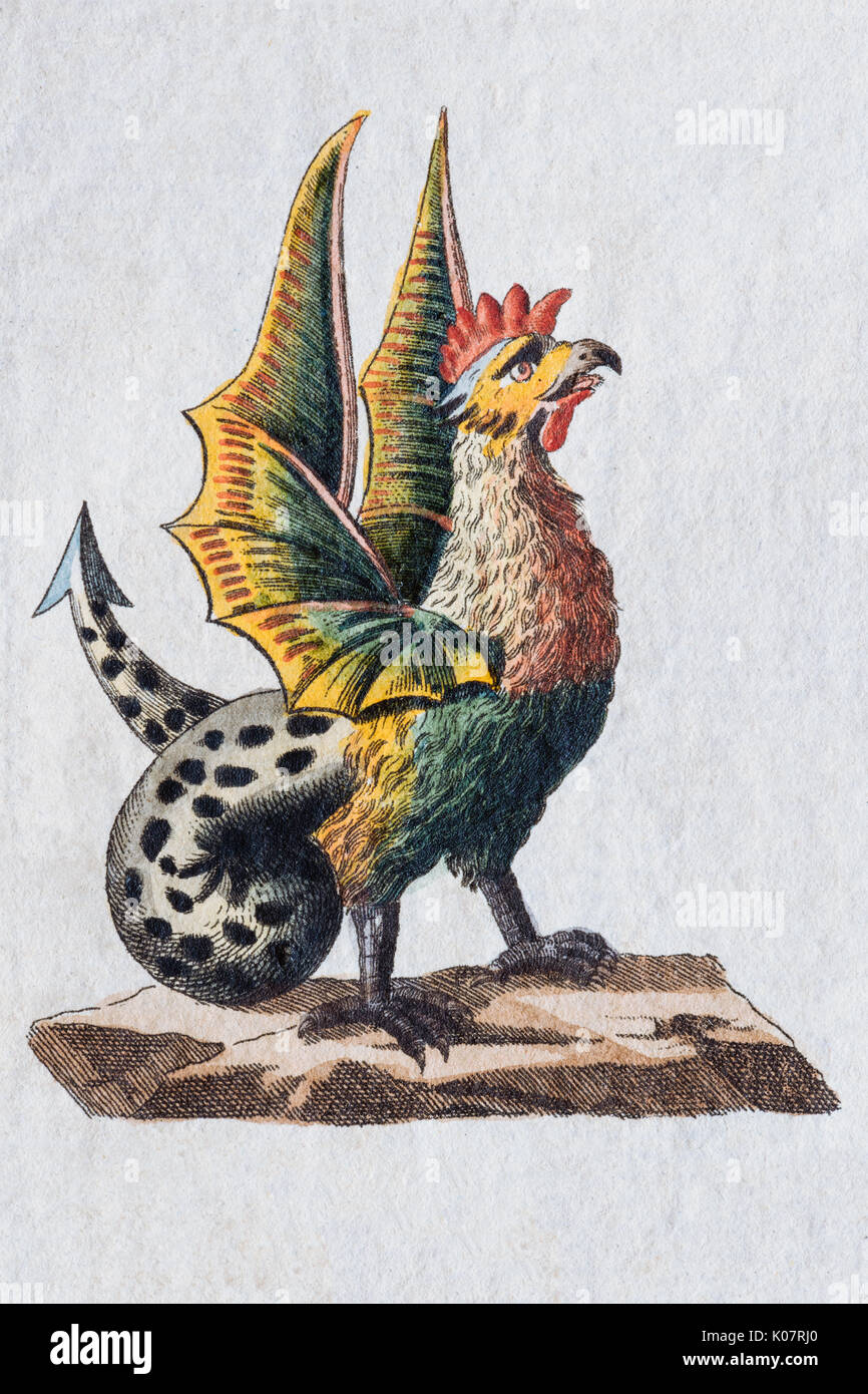 Basilisk, hand-colored copper engraving from children's picture book by Friedrich Justin Bertuch, Weimar, 1792 Stock Photo